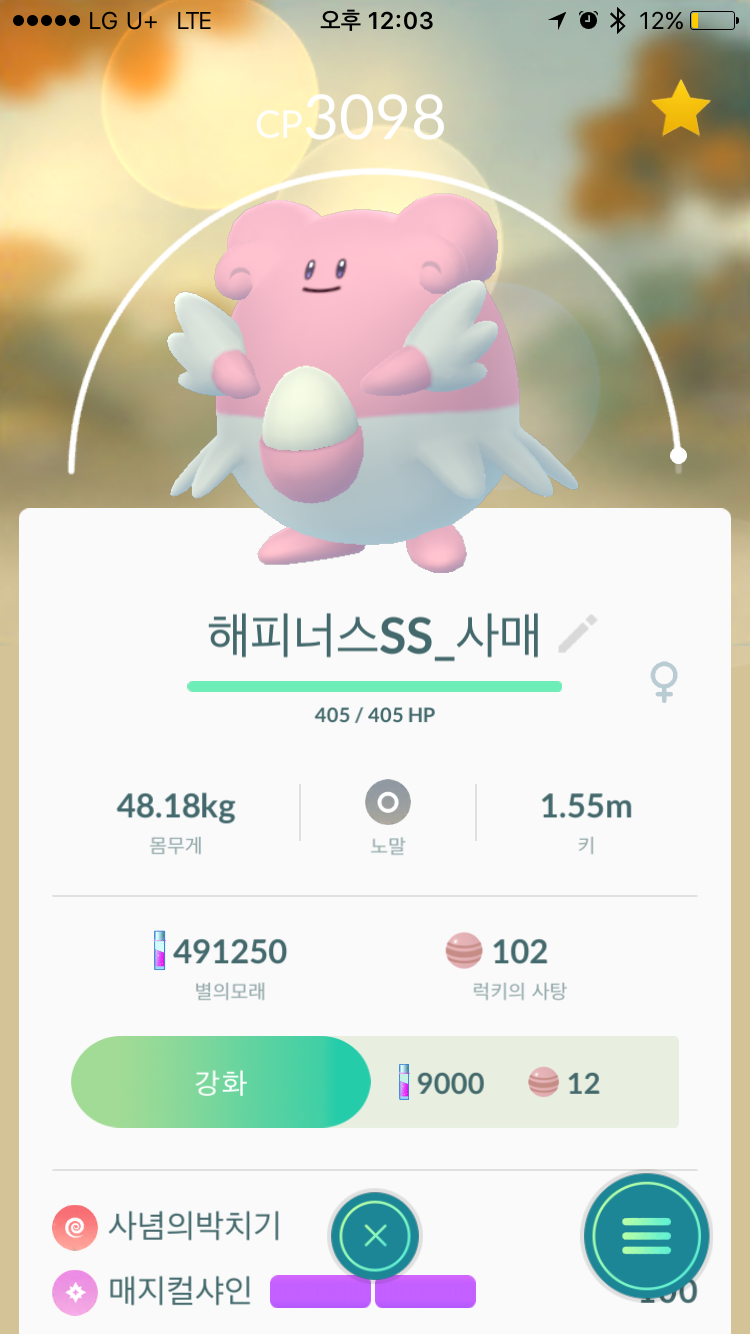 체육관 전용 해피~