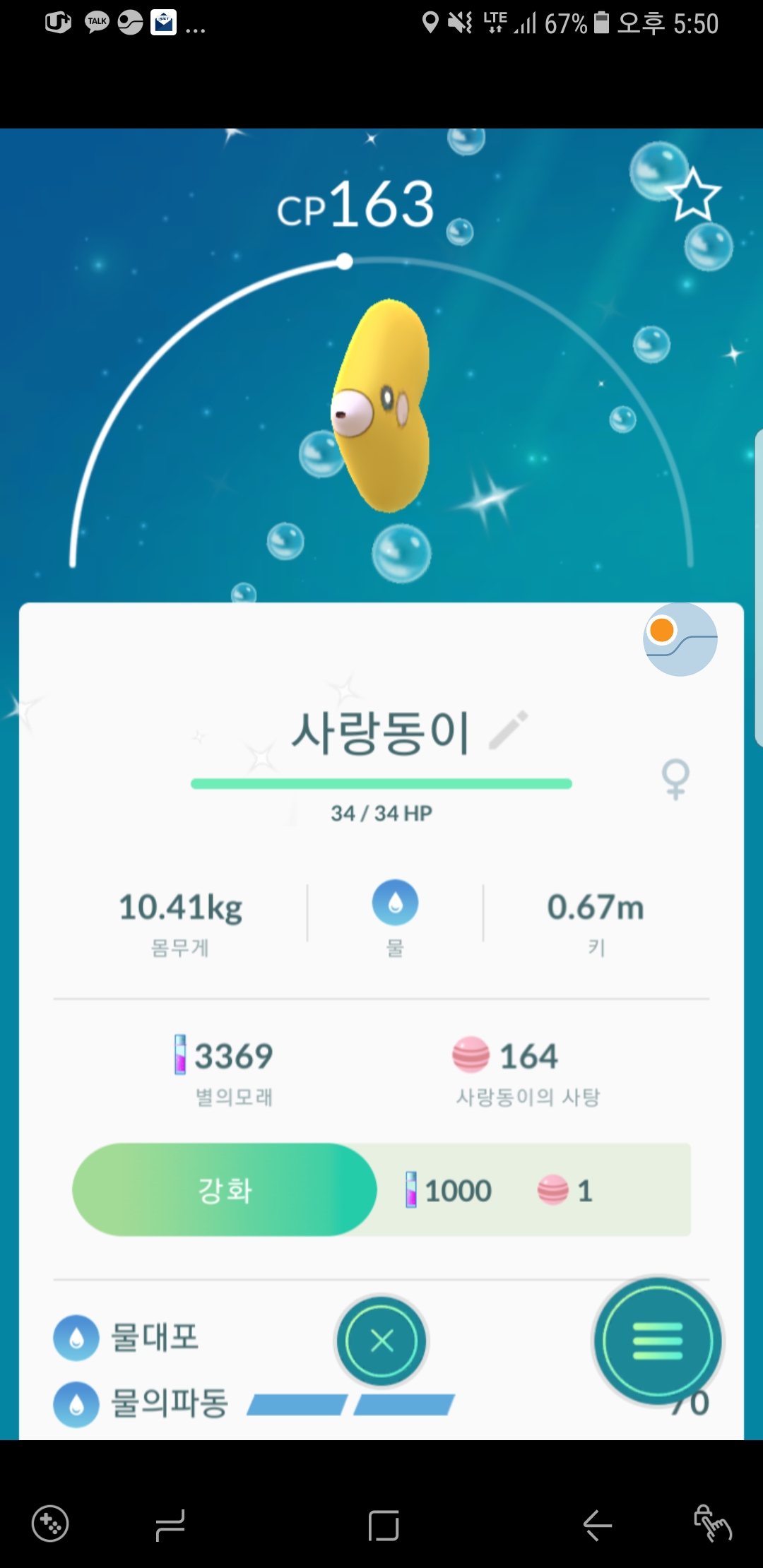사랑동이 이로치