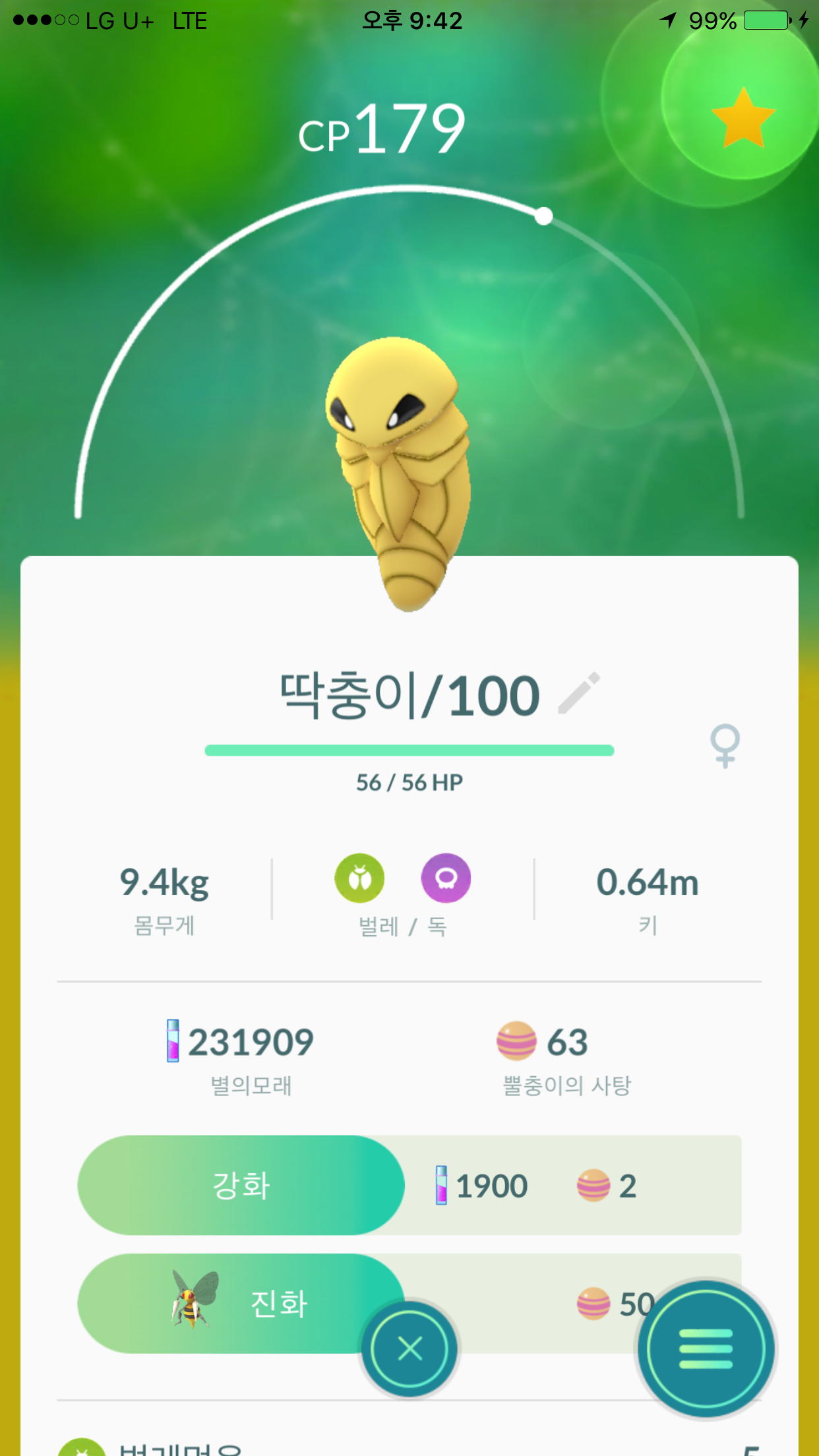 딱충이 100