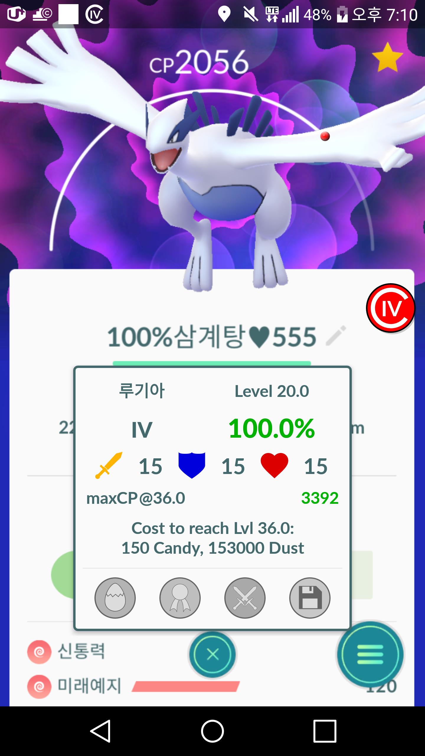 100 루기아