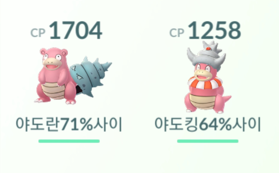 야돈세트