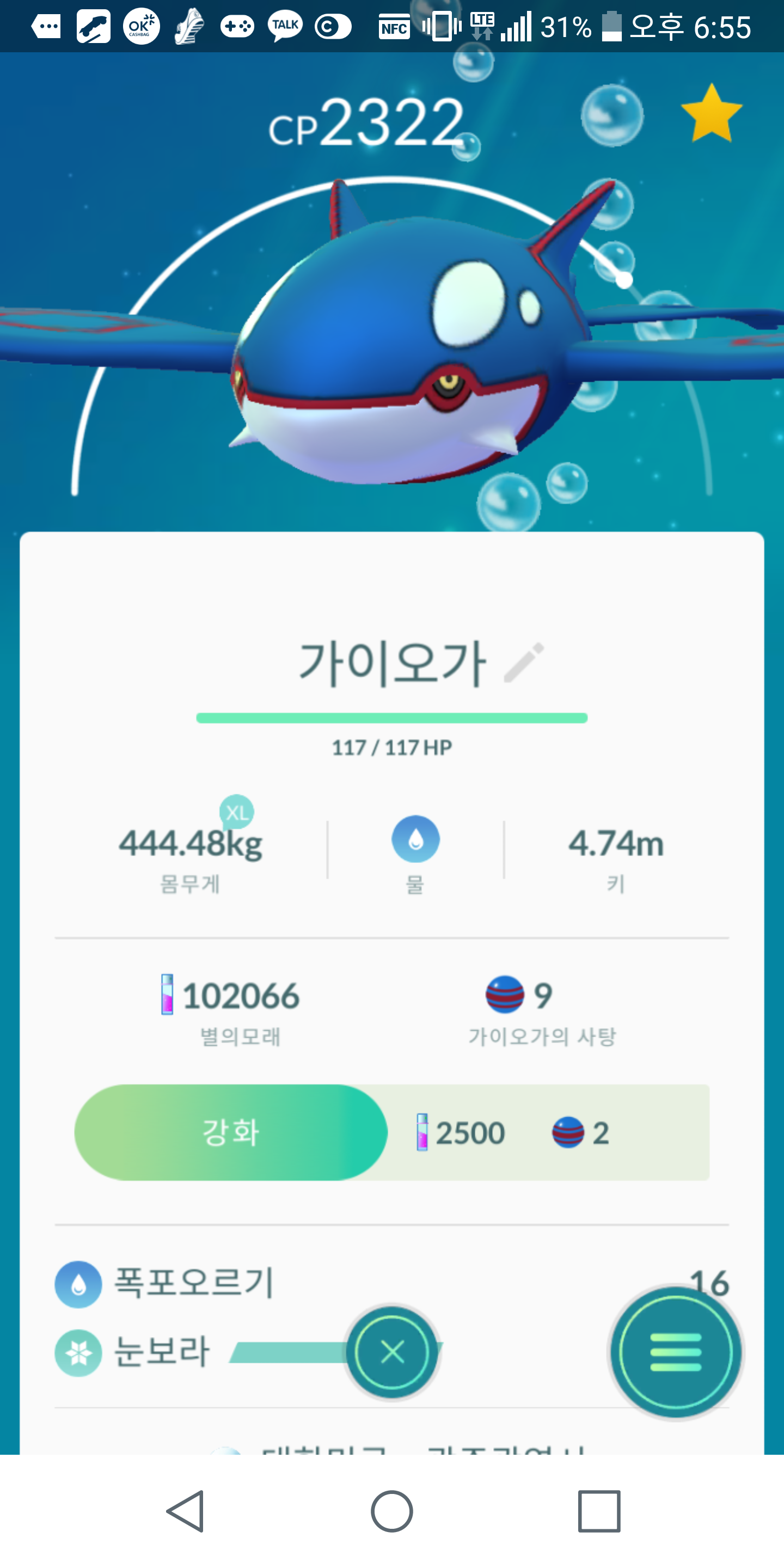 가이오가
