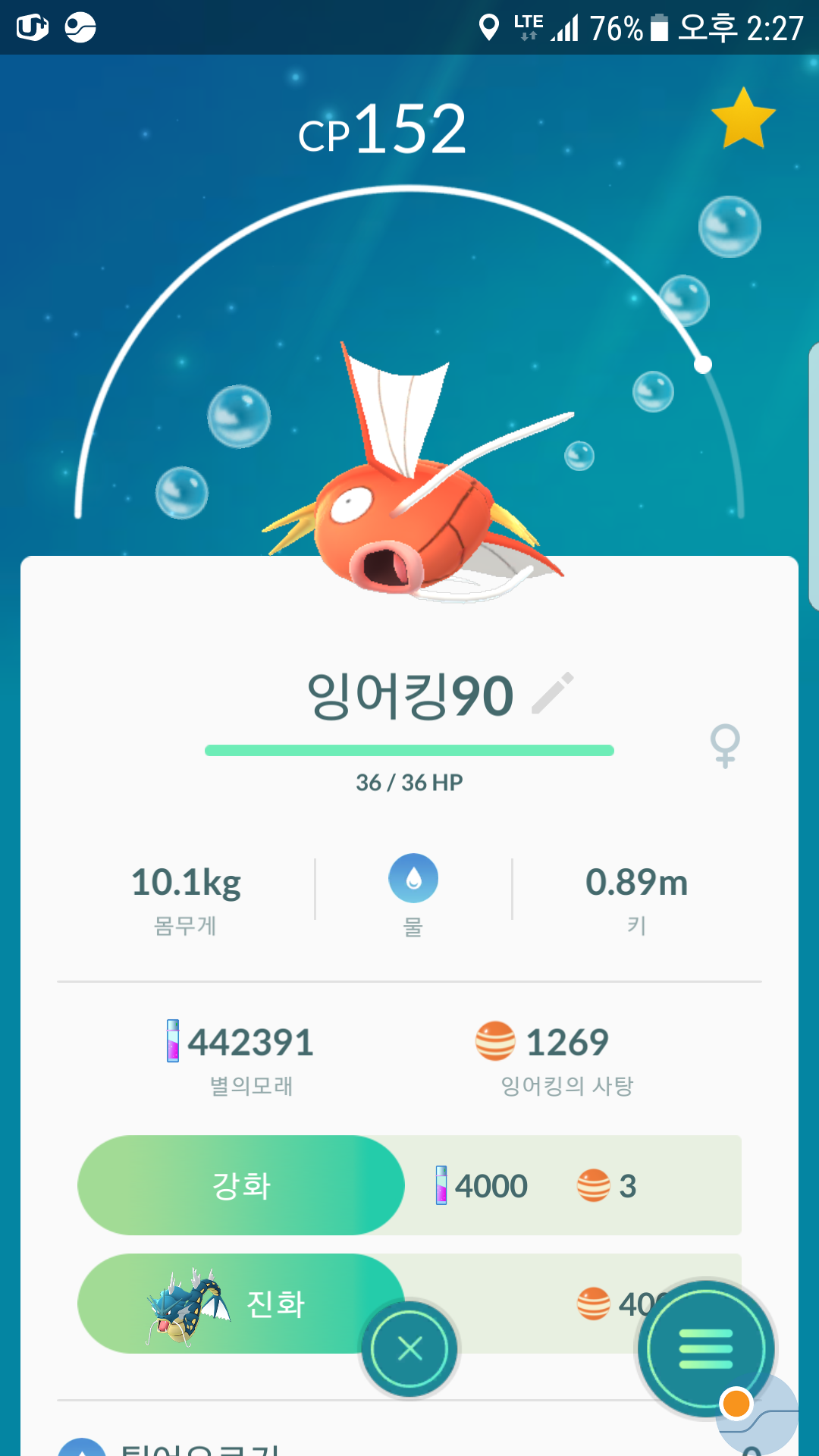 잉어킹