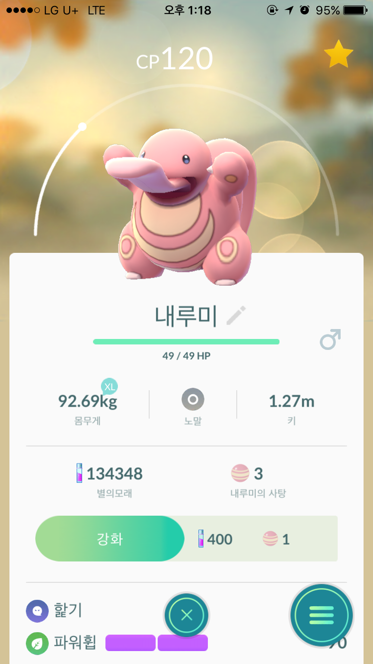 내루미  요 아이요