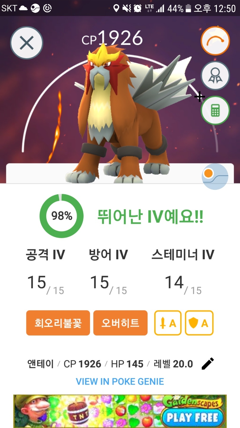 엔테이 98퍼 잡았어요