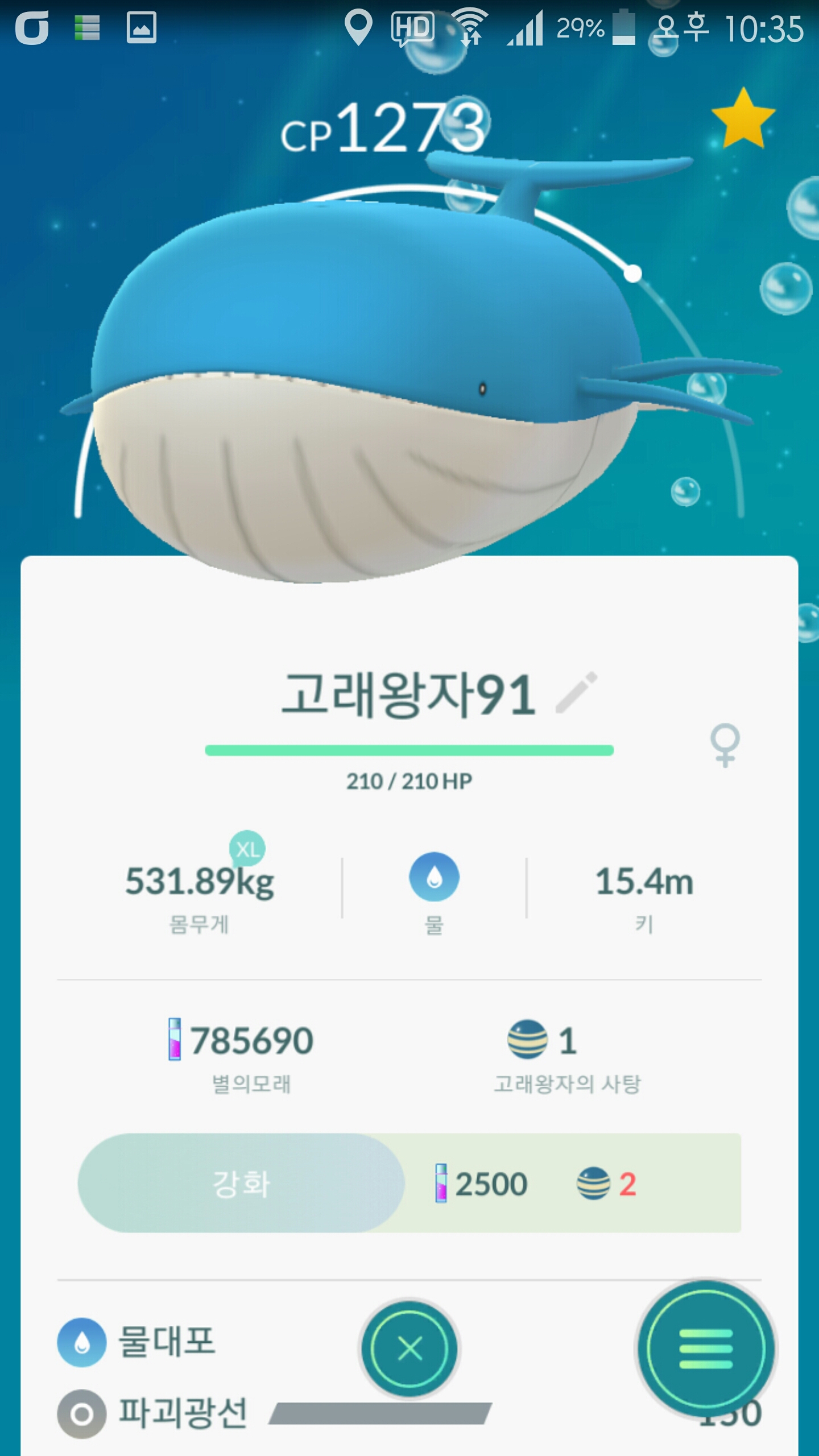 고래왕