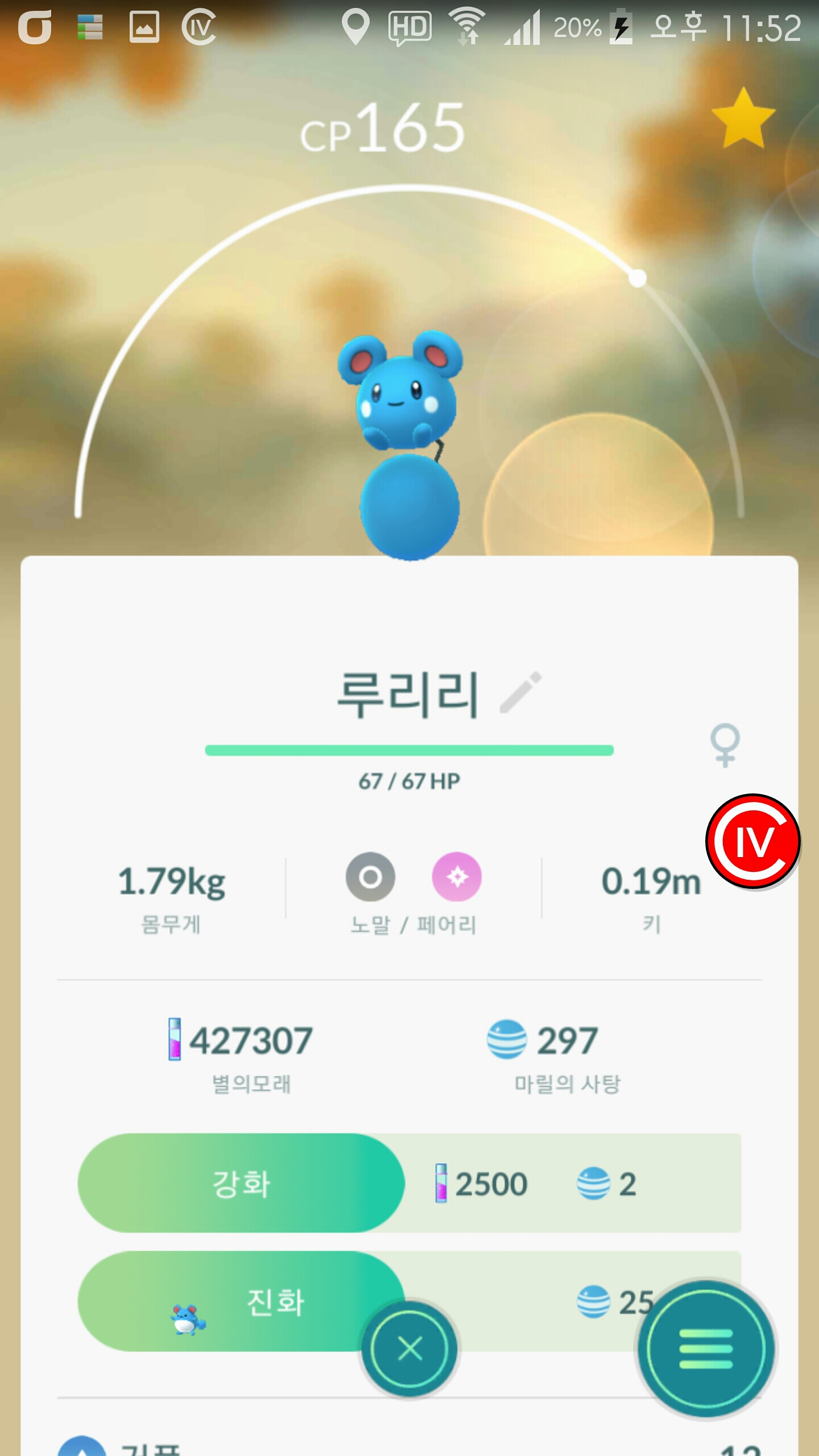 귀여운 루루리