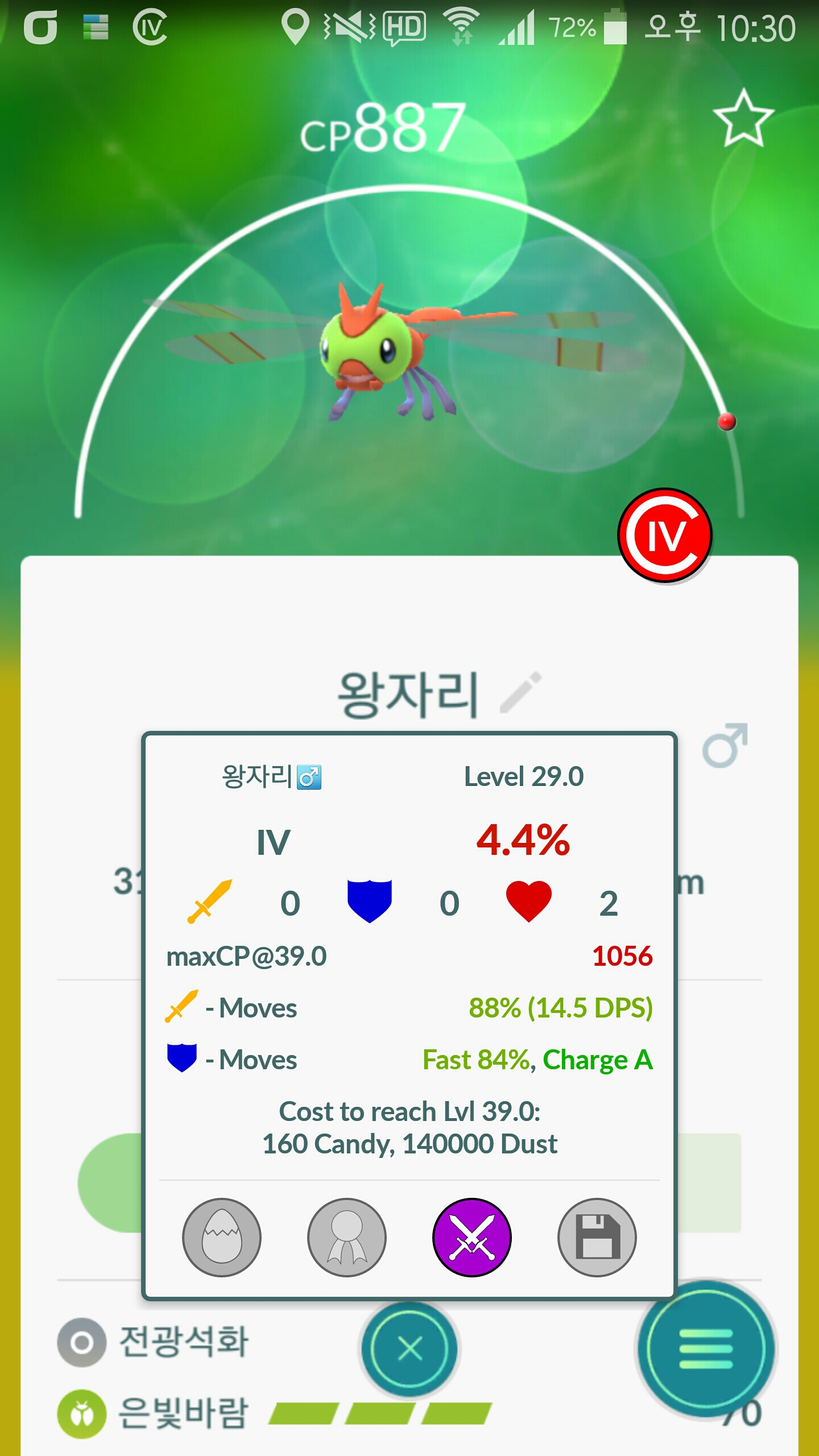 왕자리 4%