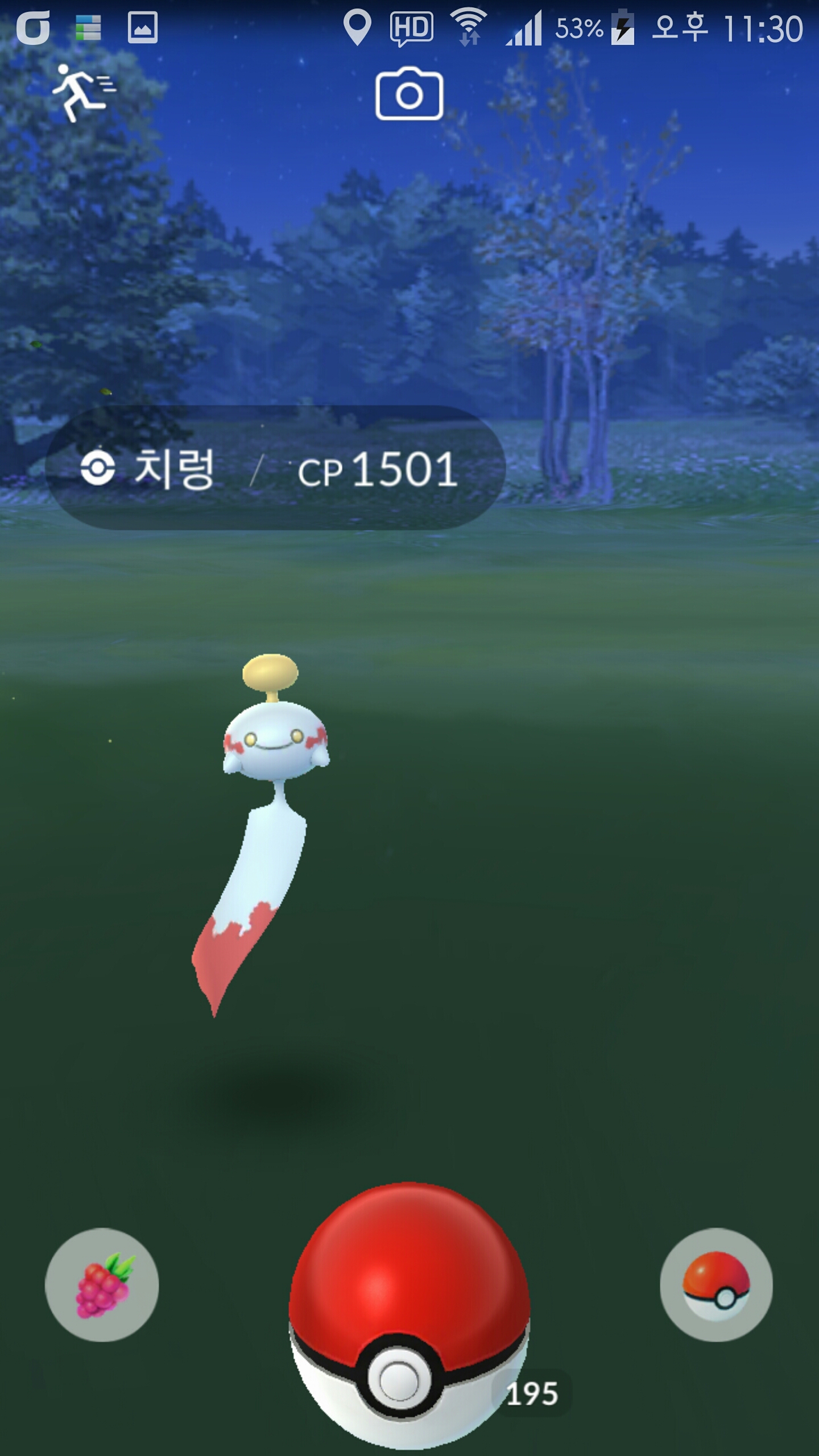 야생 치렁