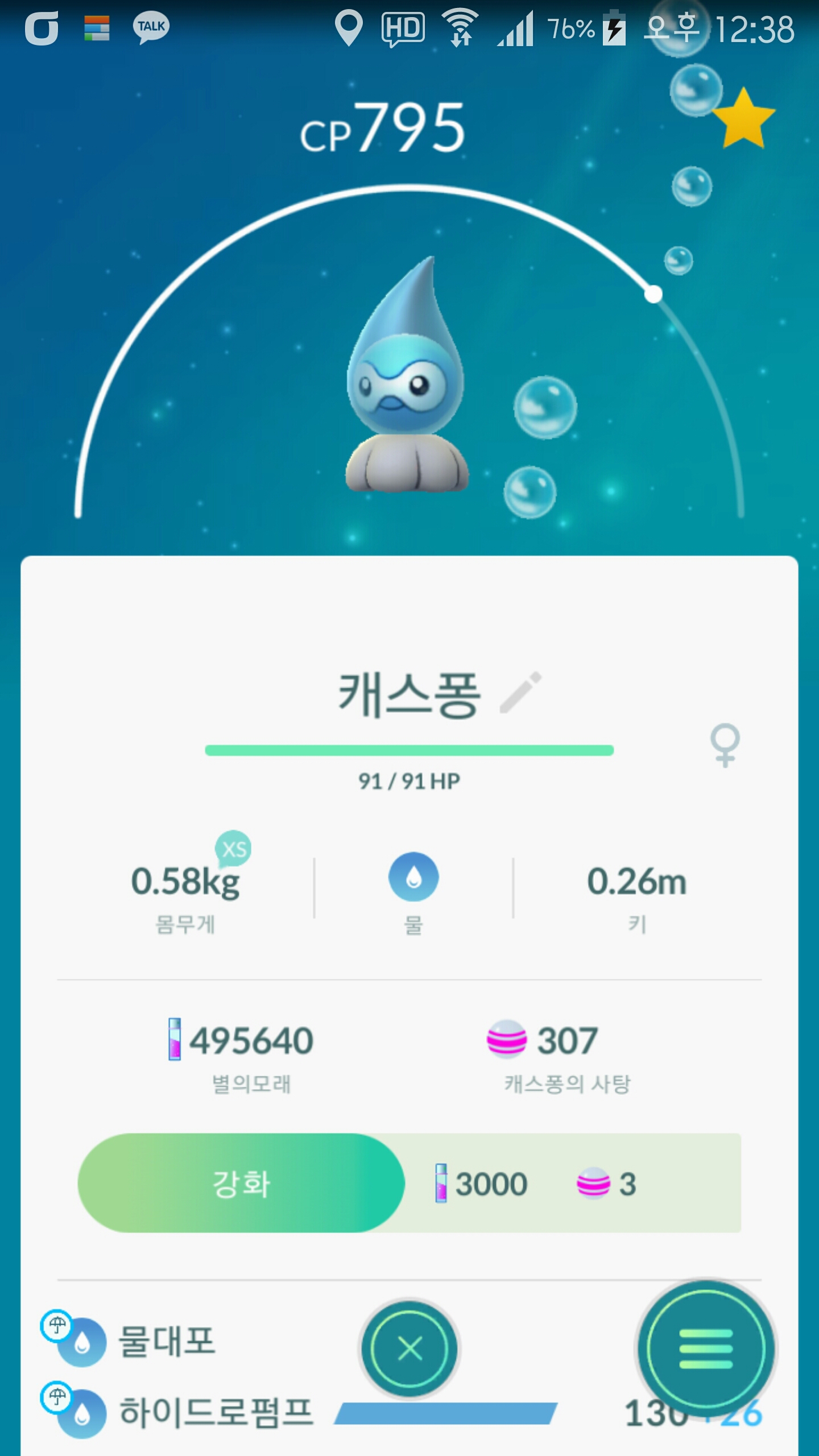 비스풍