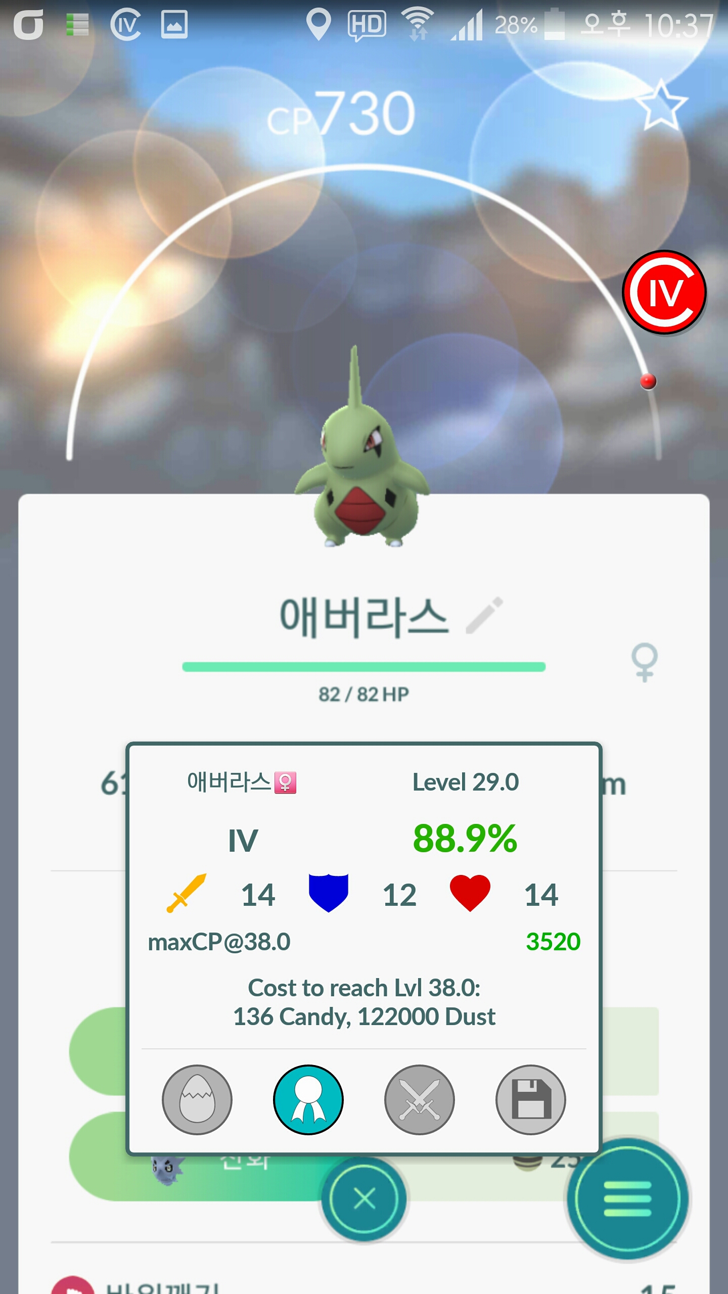 에버라스