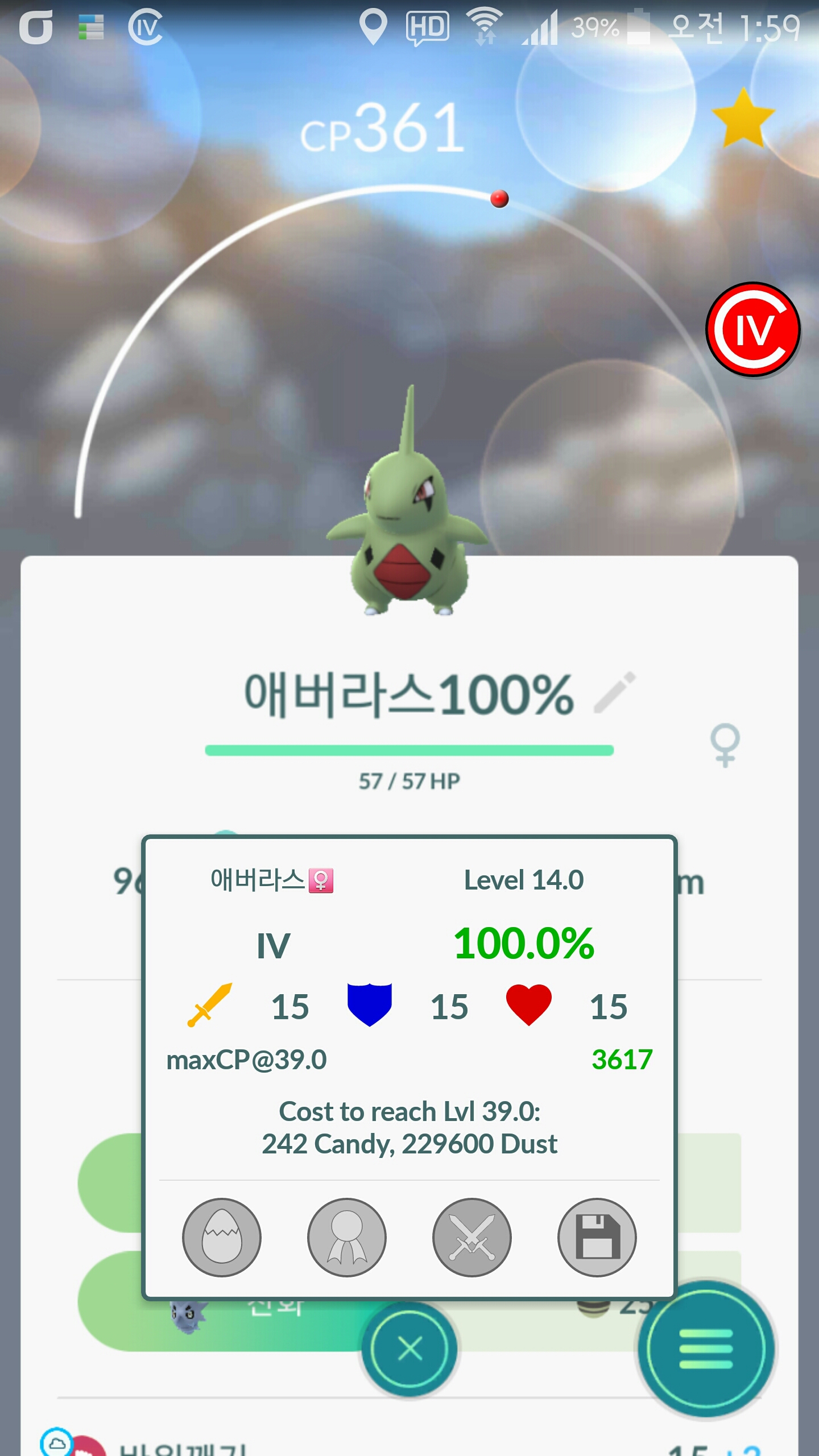 에버라스100%