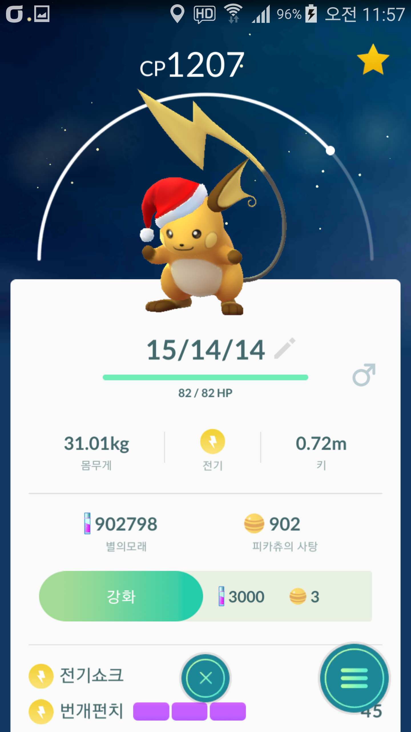 속초산 모자쓴 라이츄