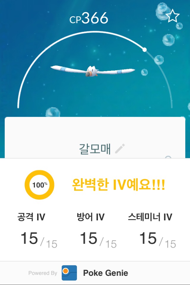 생일선물......