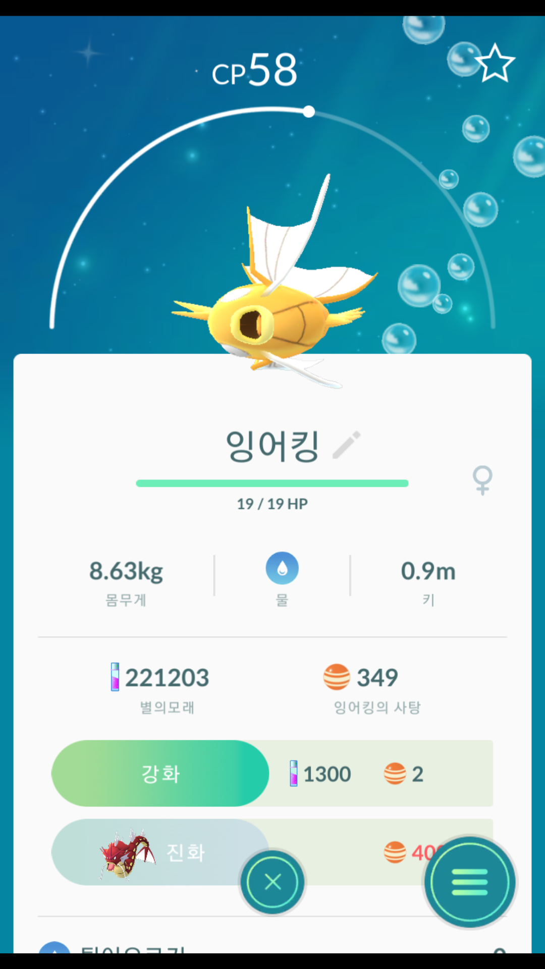 황금잉어킹