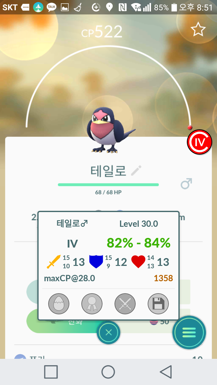 테일로 진화하기