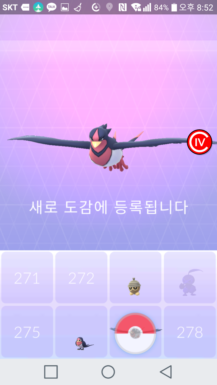 테일로 진화하기