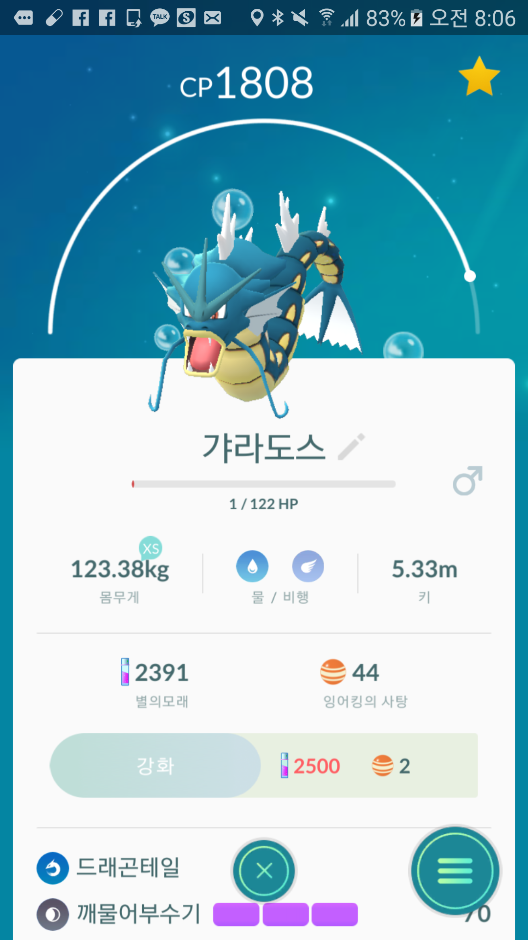 야생 갸랴도스!