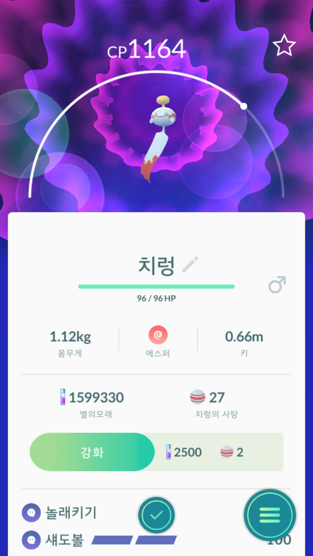 저도 알에셔