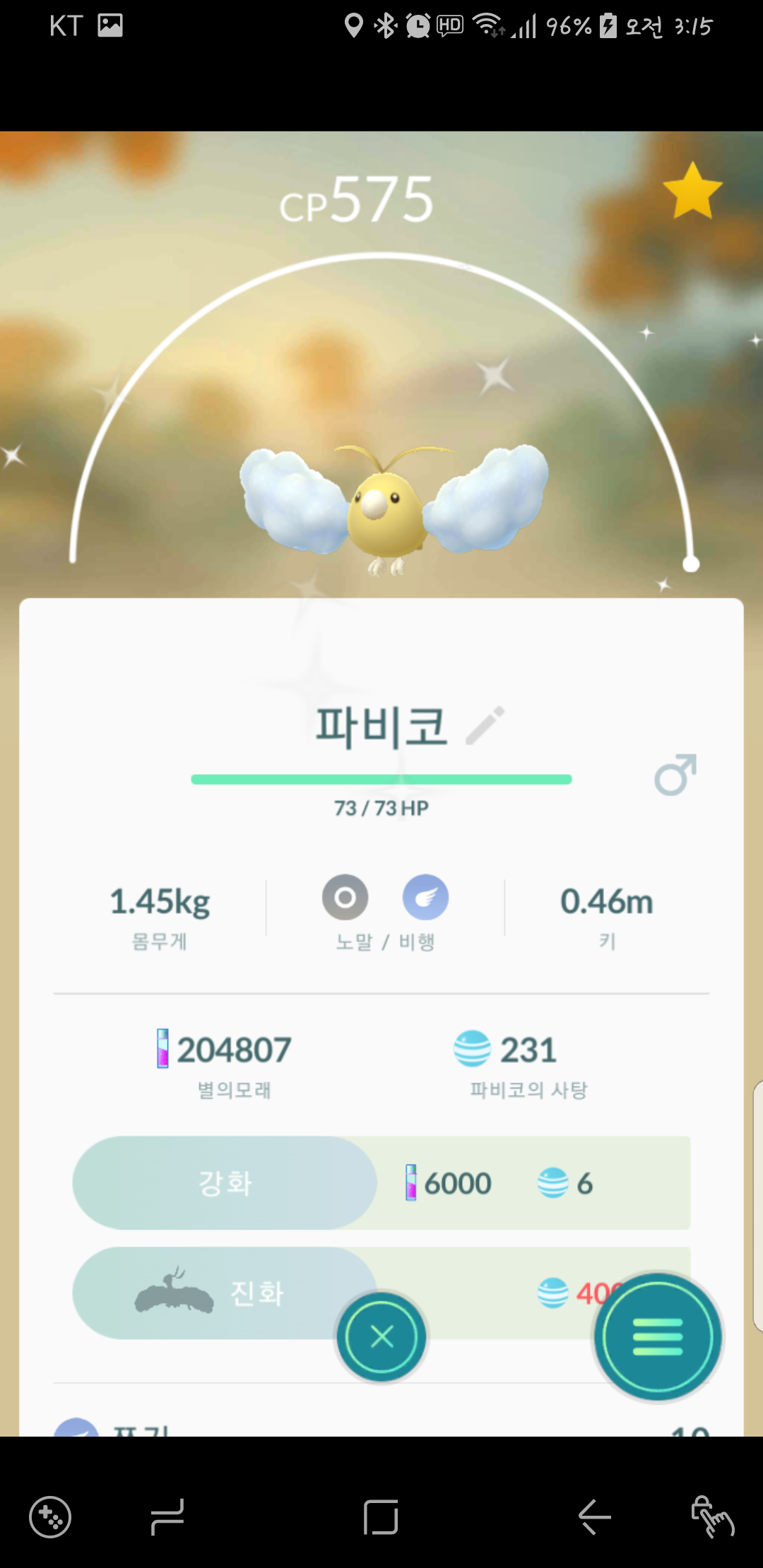 황금 파비코
