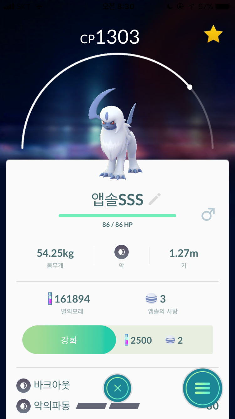 앱솔SSS~