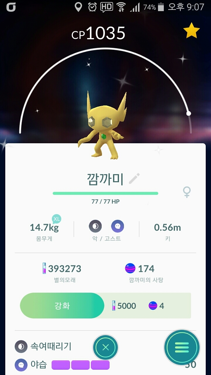 황금 이로치 깜까미