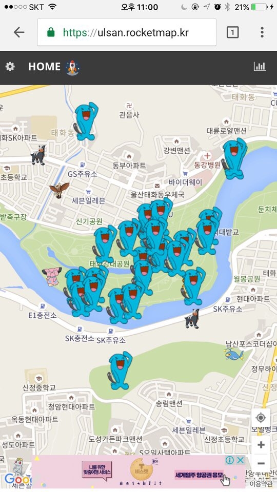 둥지자랑~~