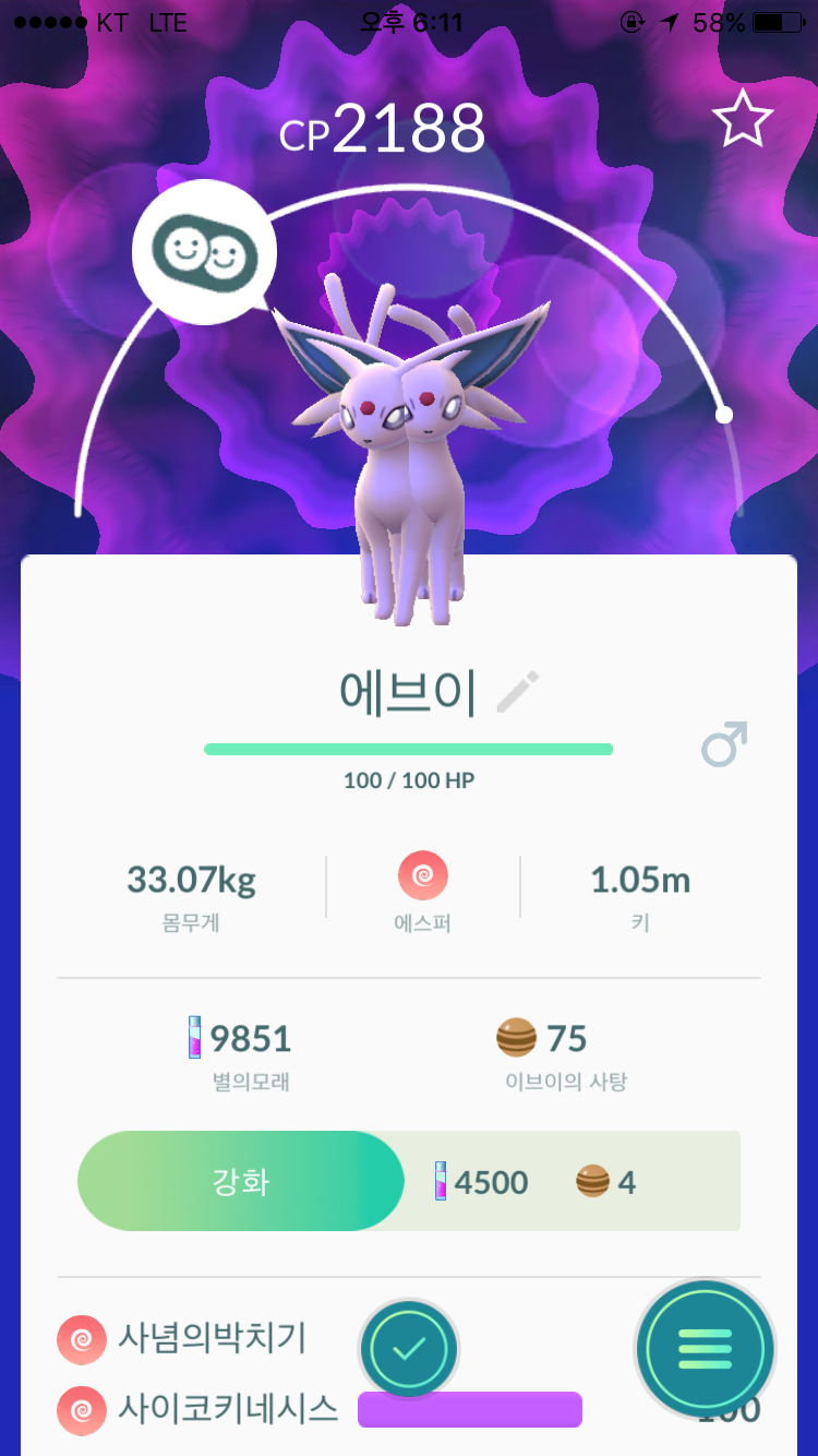 샴쌍둥이 에브이