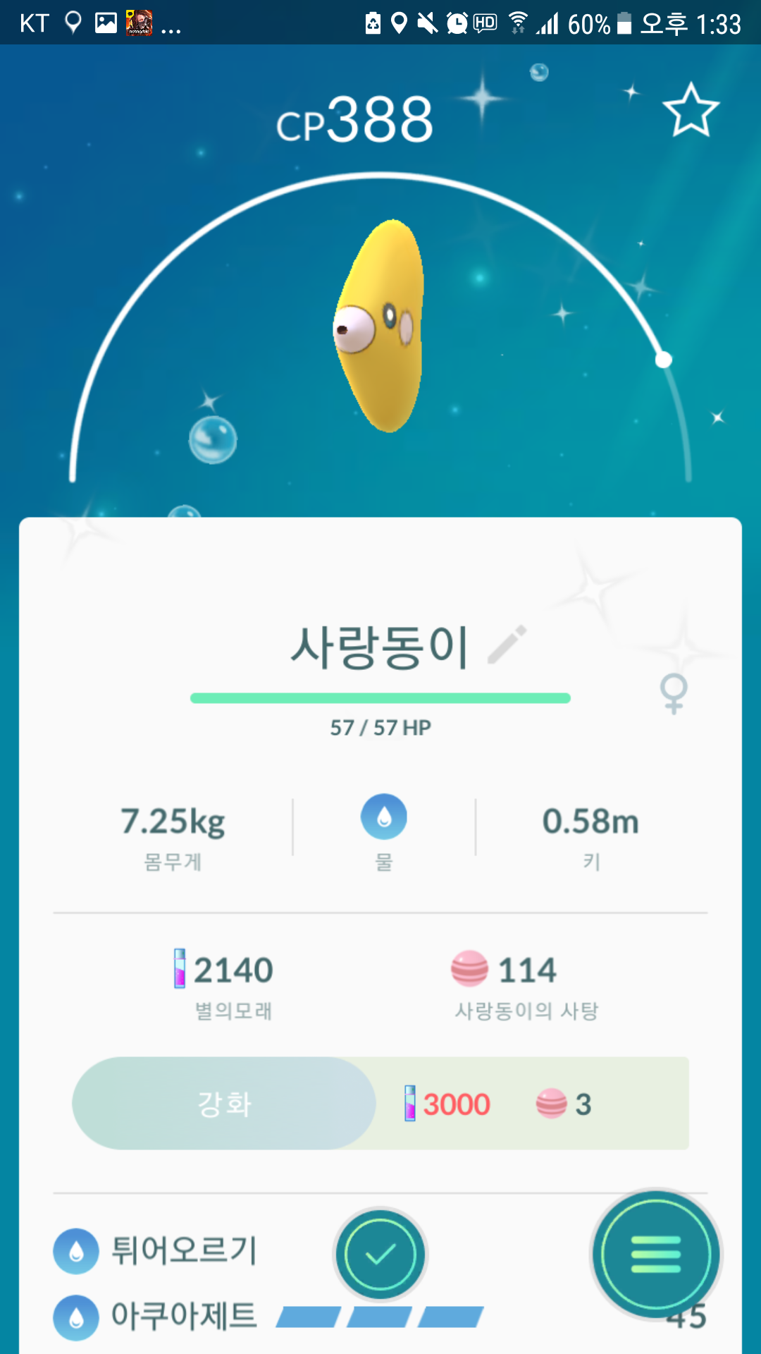 사랑동이 이로치