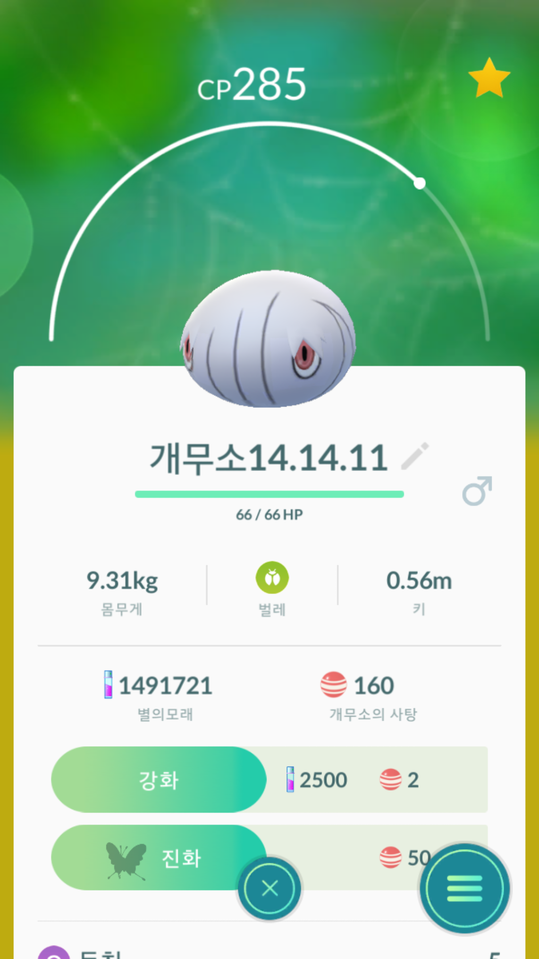 실쿤 카스쿤 득이요
