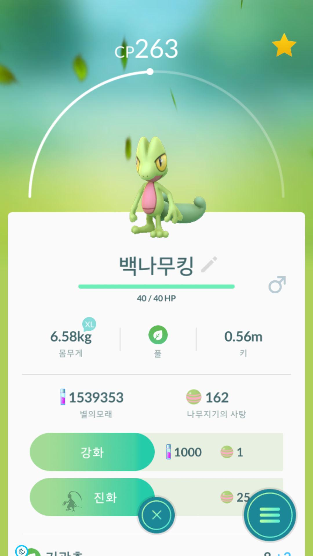 나무지기 백 자랑하시길래..