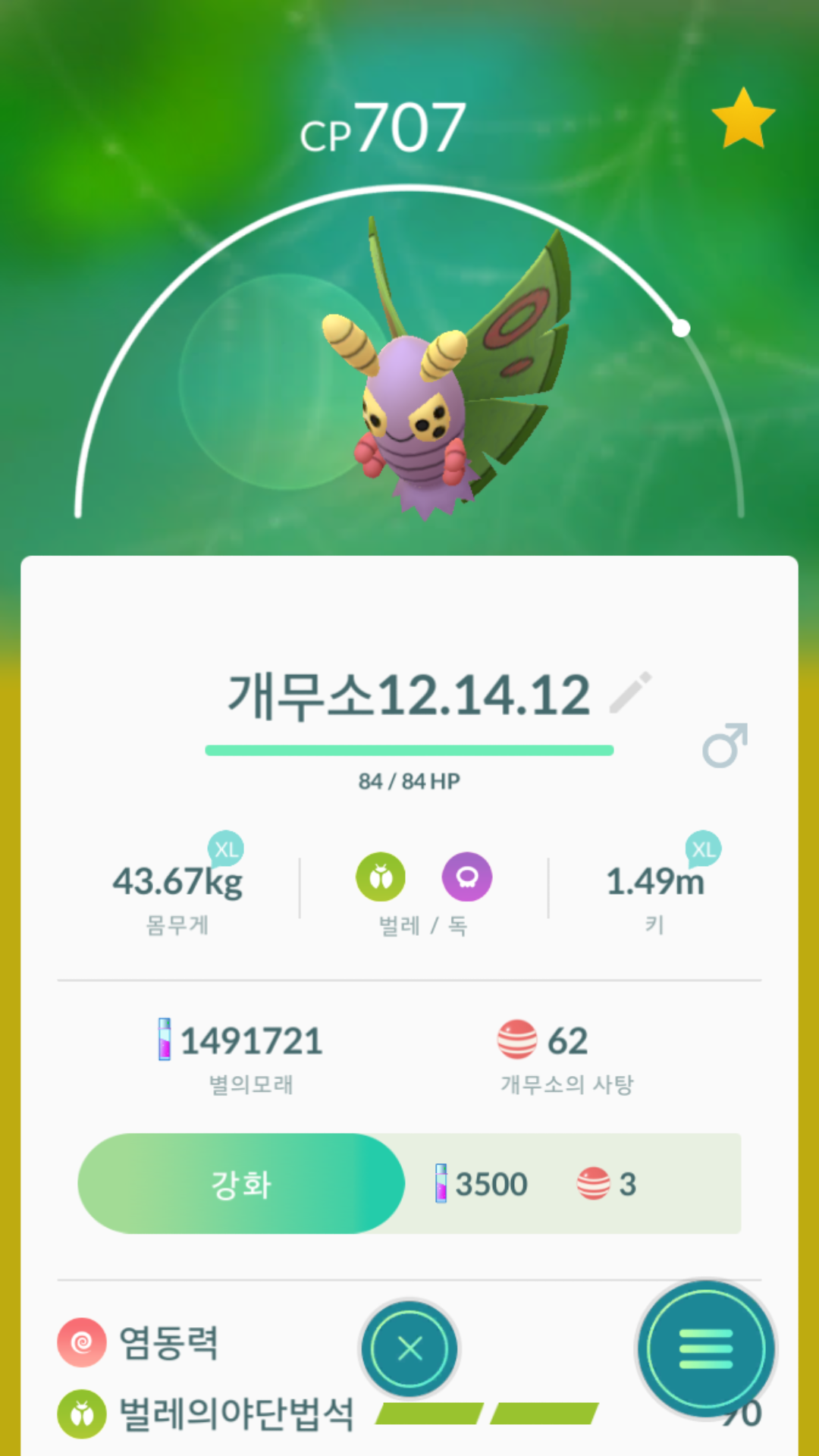 실쿤 카스쿤 득이요