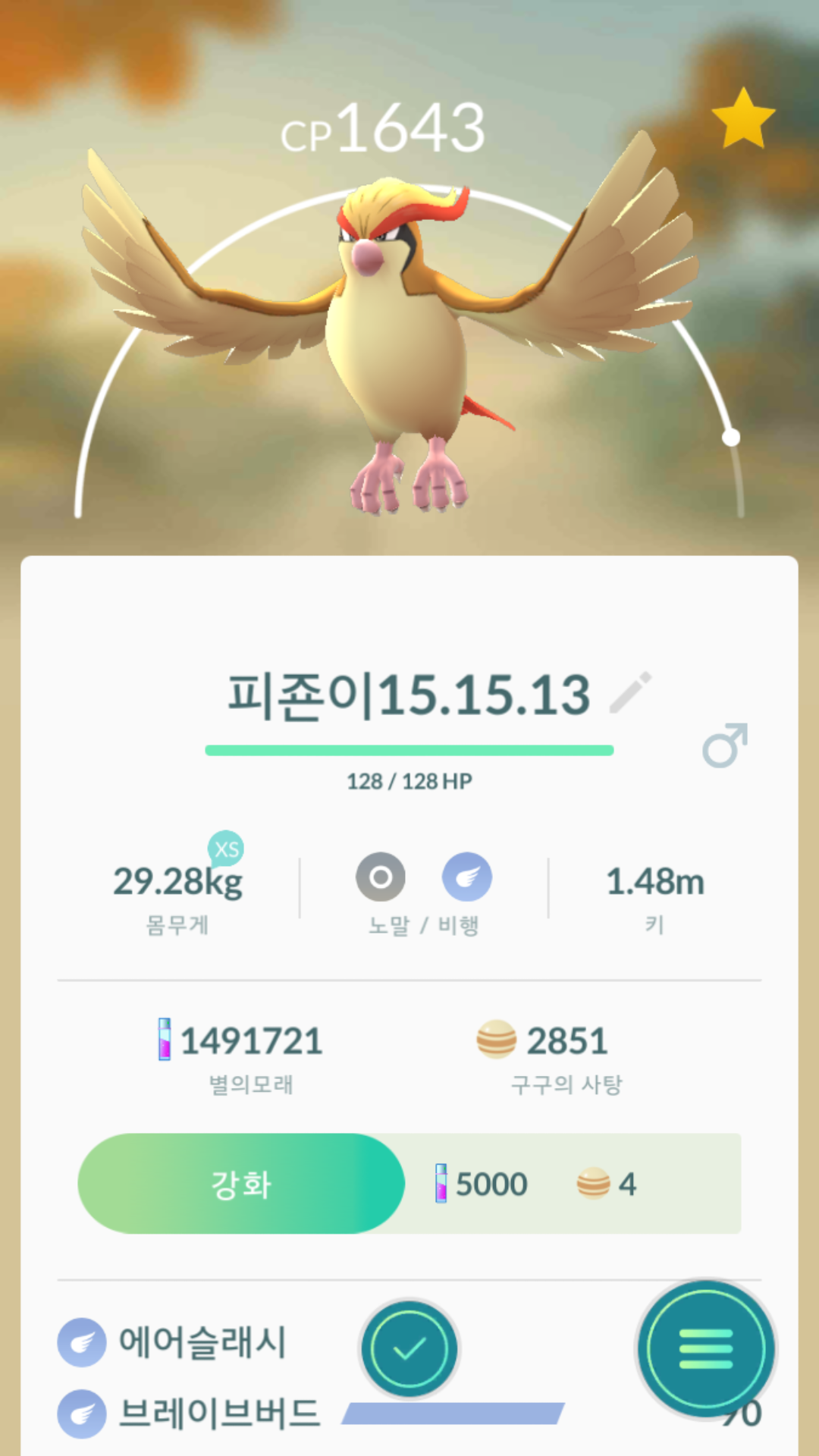 피죤잡아서 진화시켰어요