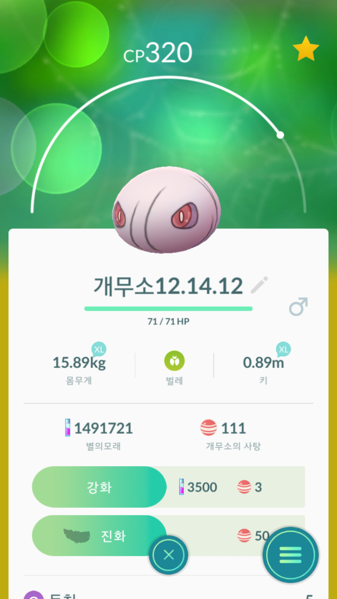 실쿤 카스쿤 득이요