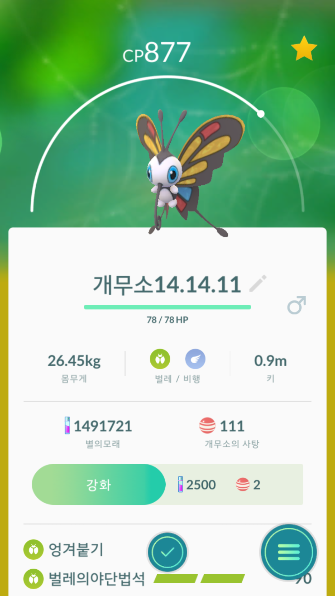 실쿤 카스쿤 득이요
