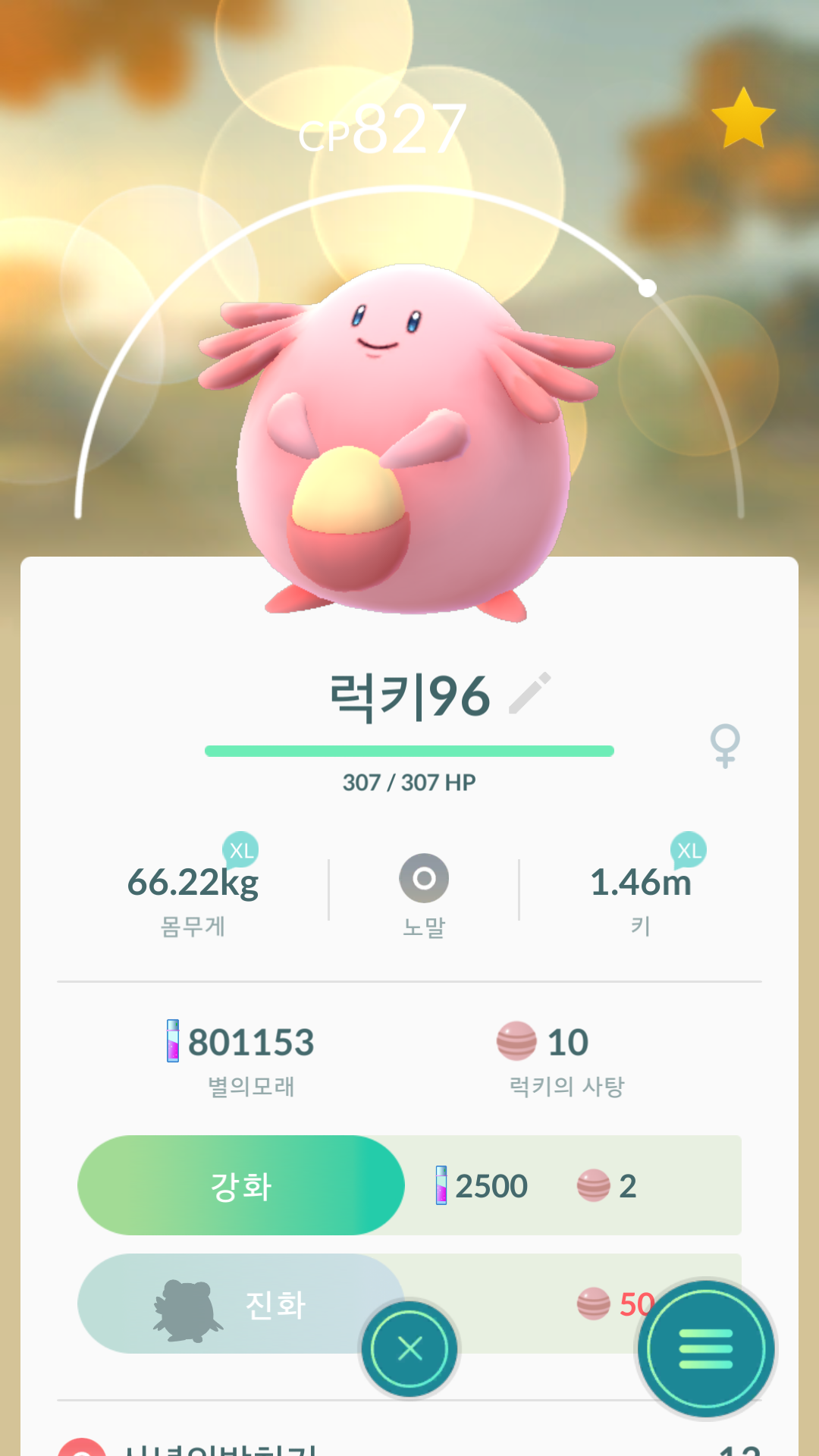 이제서야 럭키 도감 채웠습니다ㅎㅎ