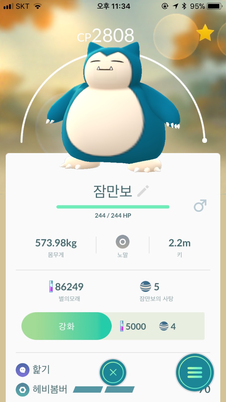 야생 잠만보