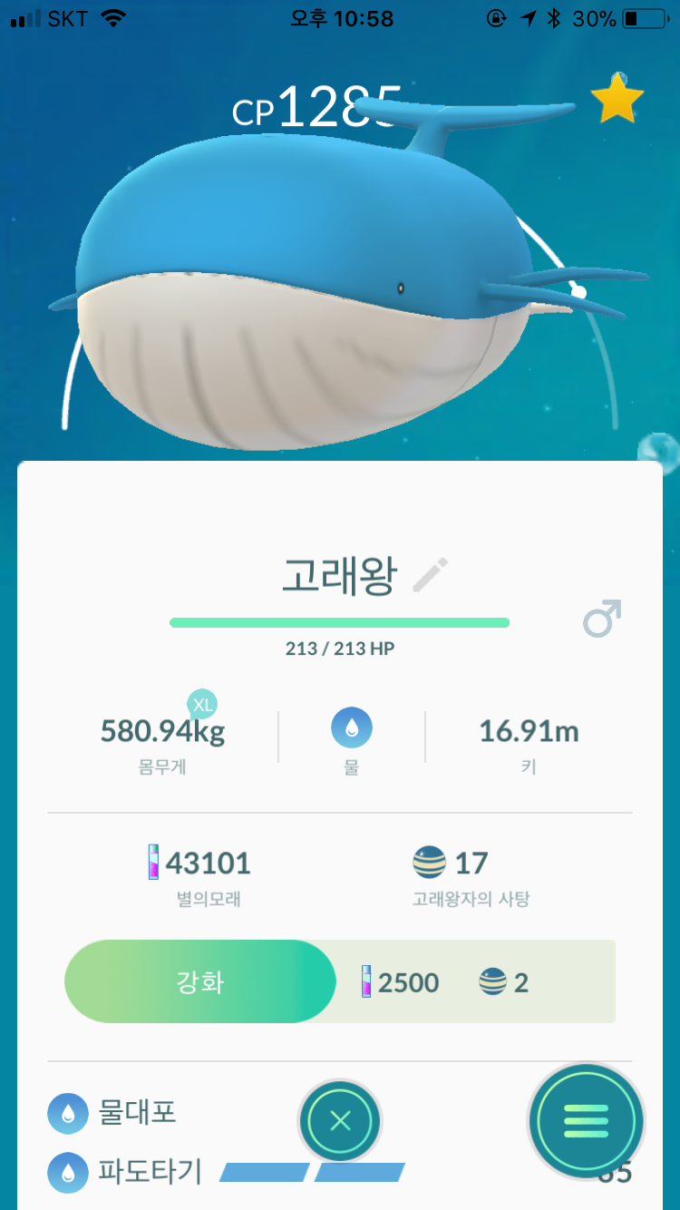 고래왕 너무 커요