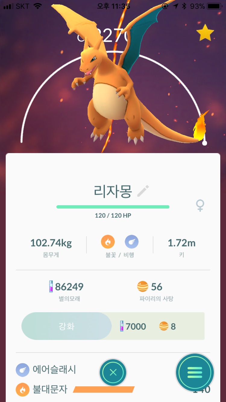 야생 리자몽