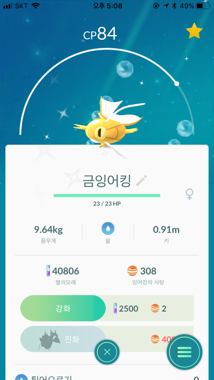 드디어 황금잉어킹 ㅠㅠㅠ