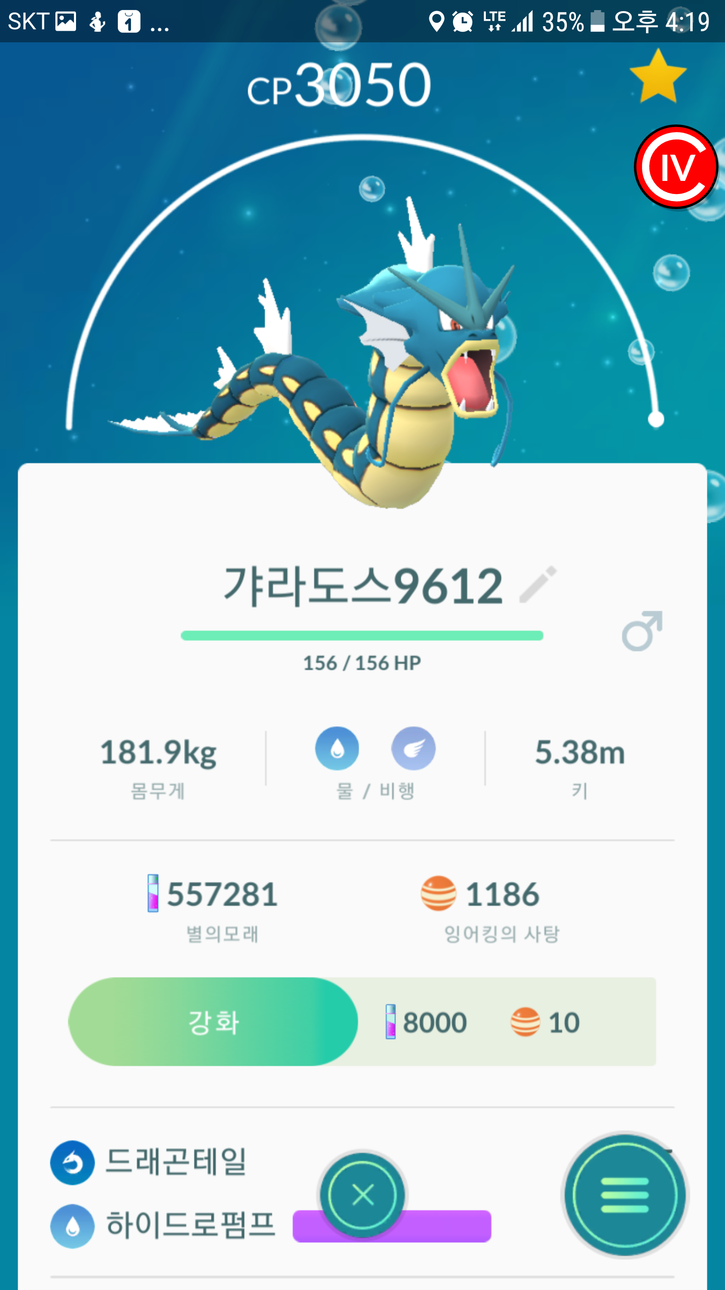 에이스