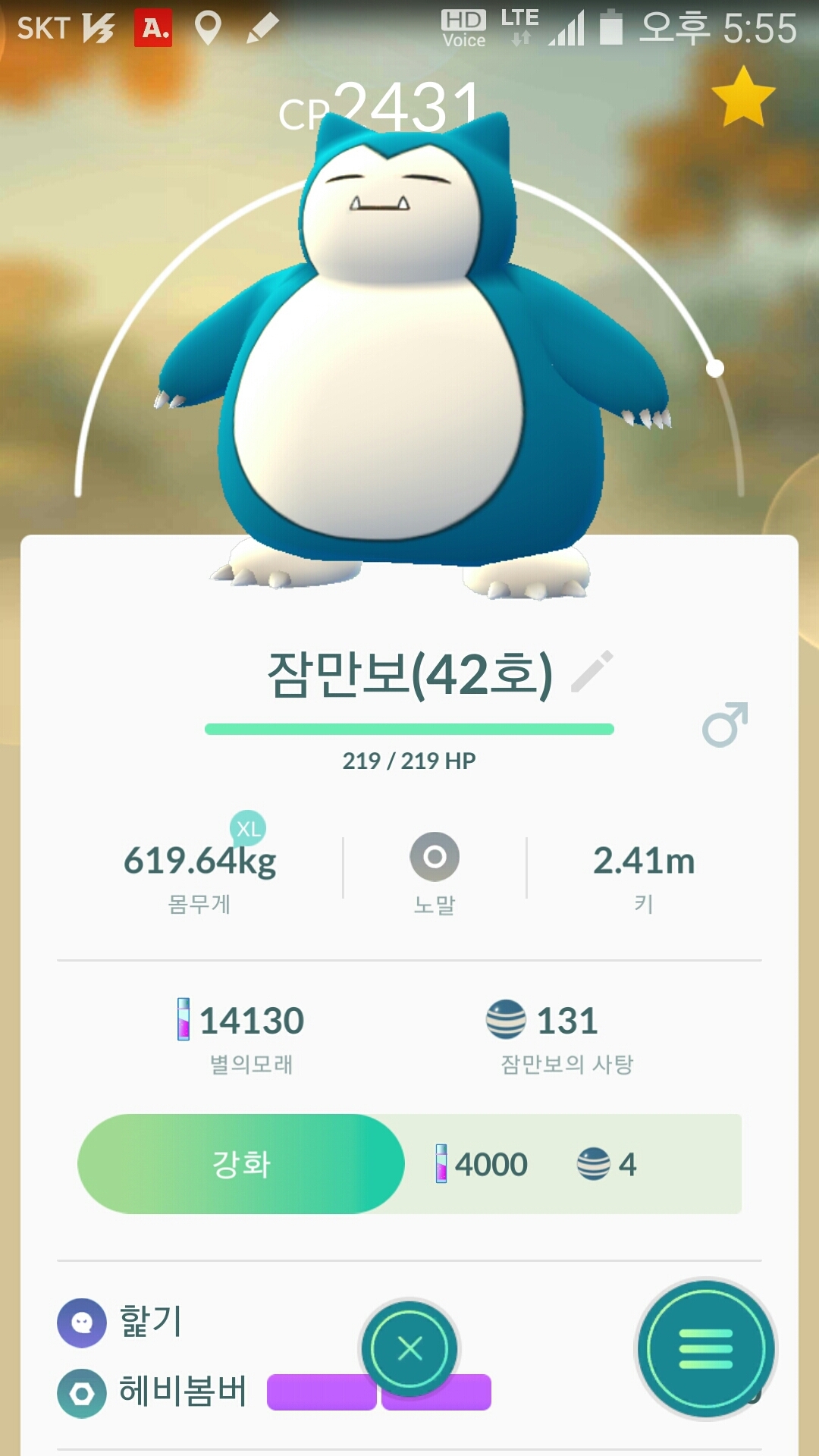 42번째 곰팅이  포획