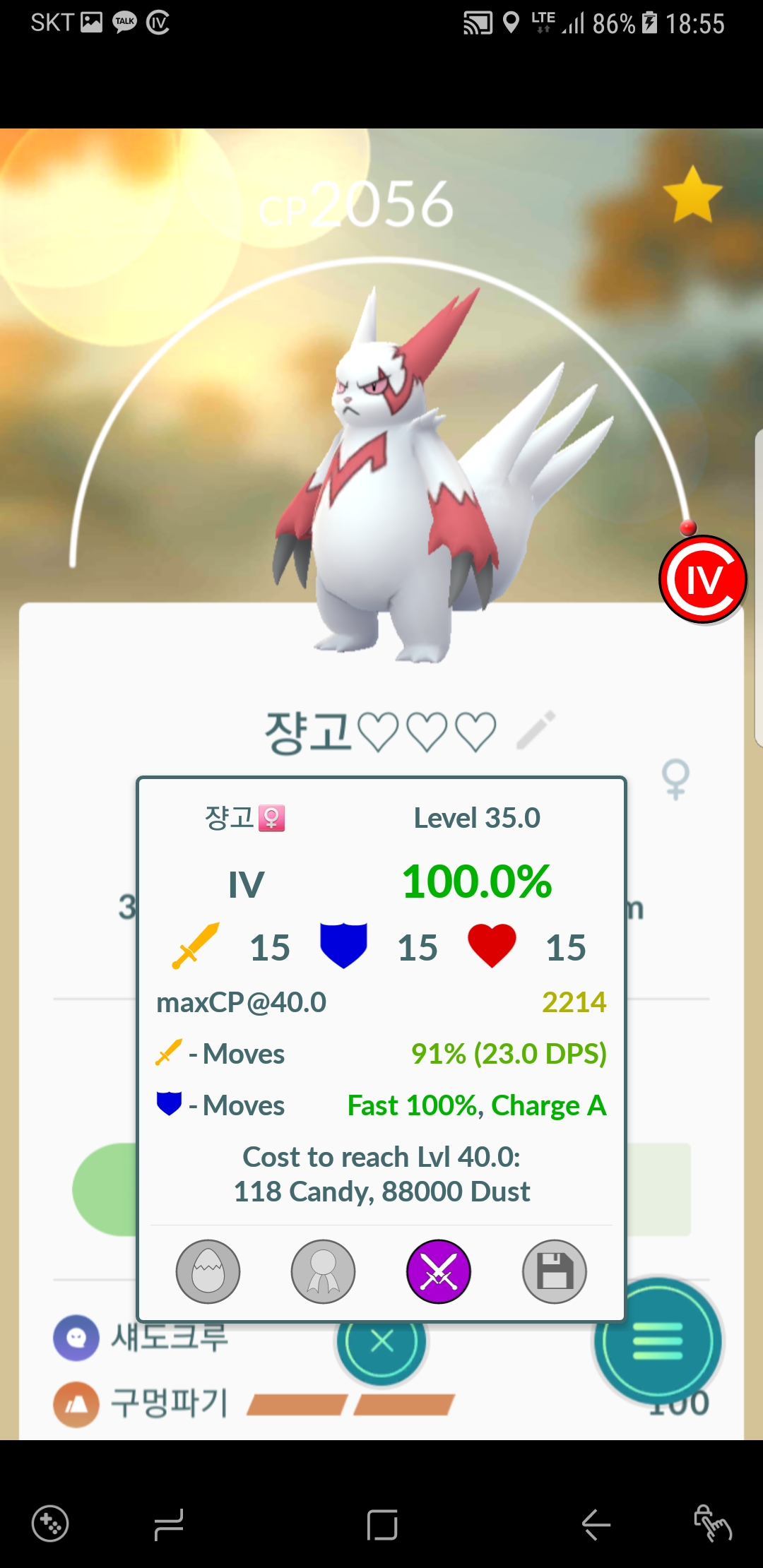 쟝고