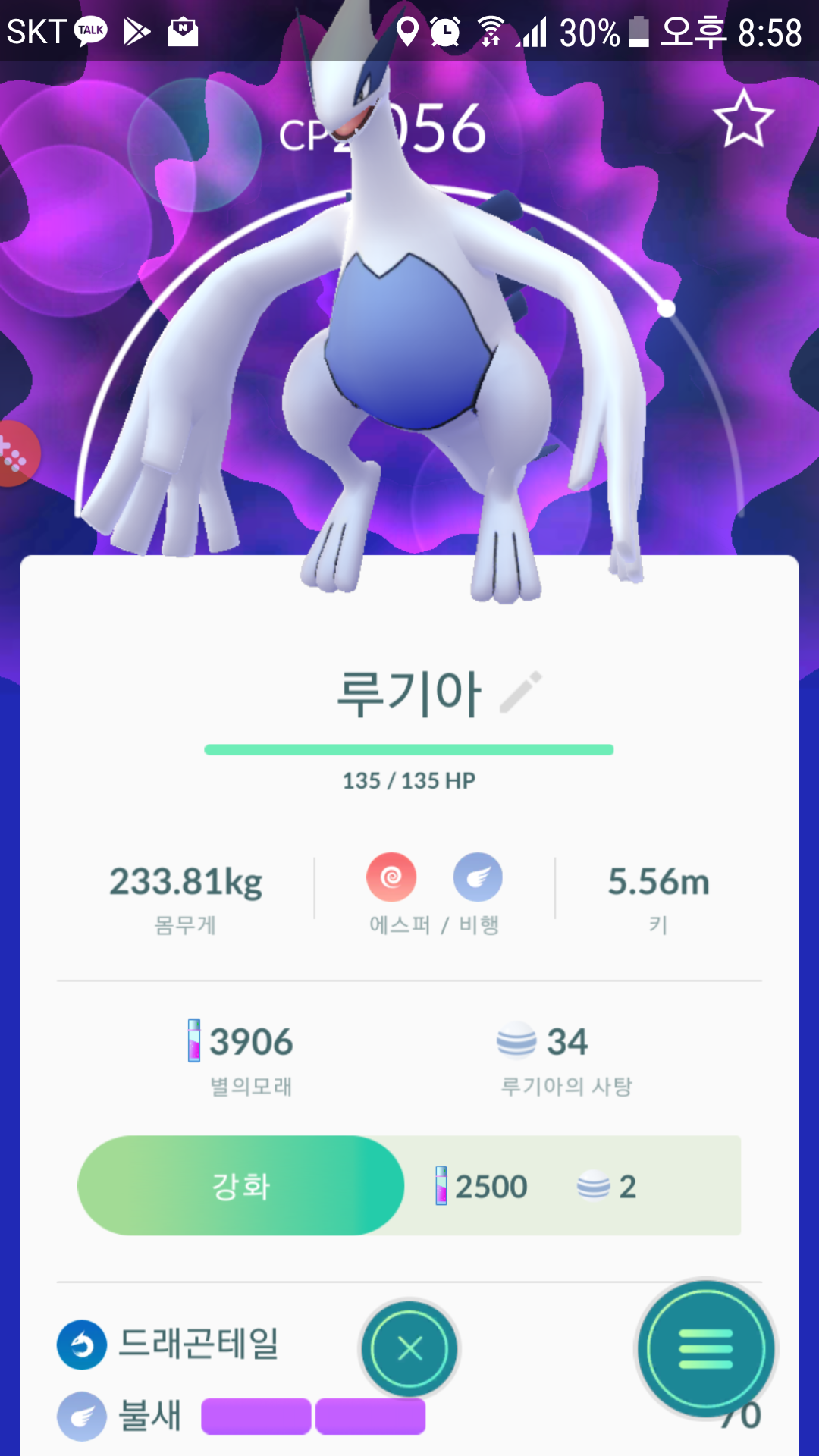 금요일 집은 100% 루기아