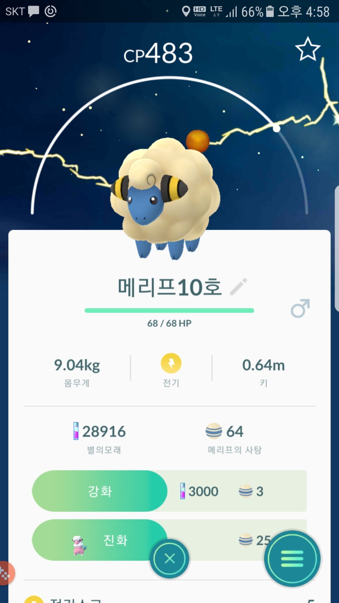 야생 10번째  메리프 포획