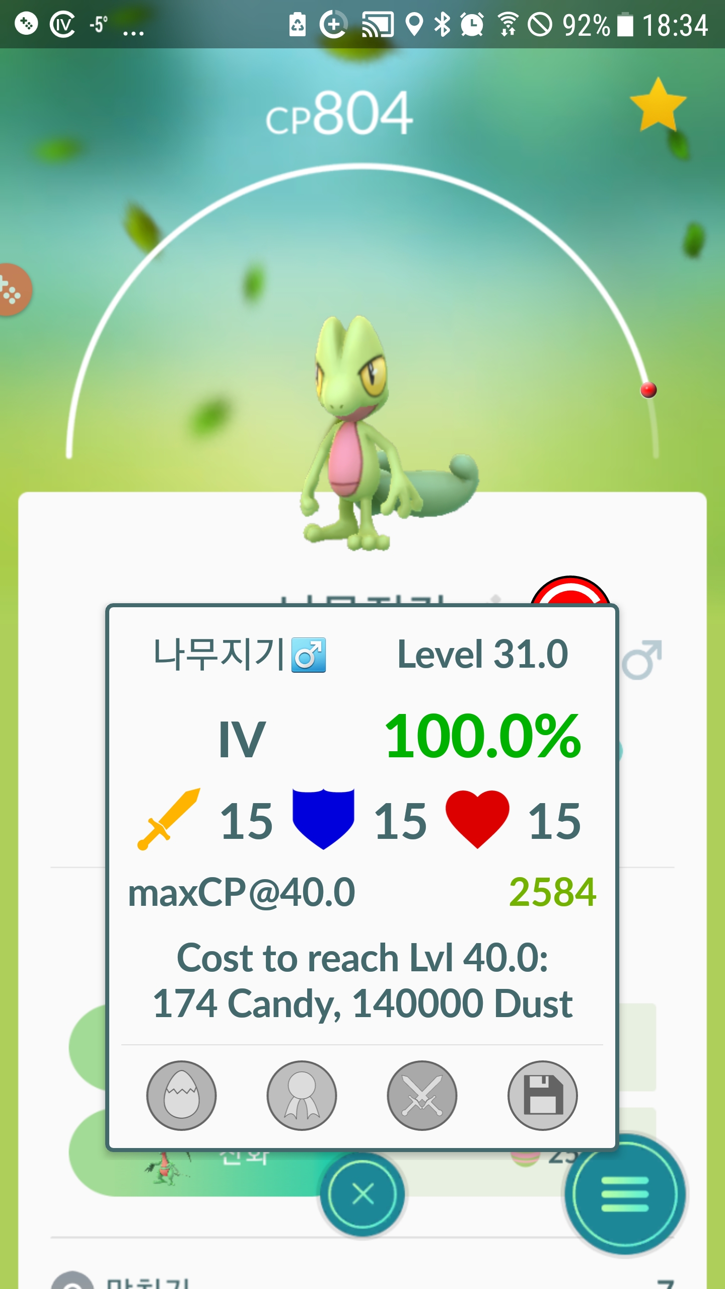 나무킹 진화
