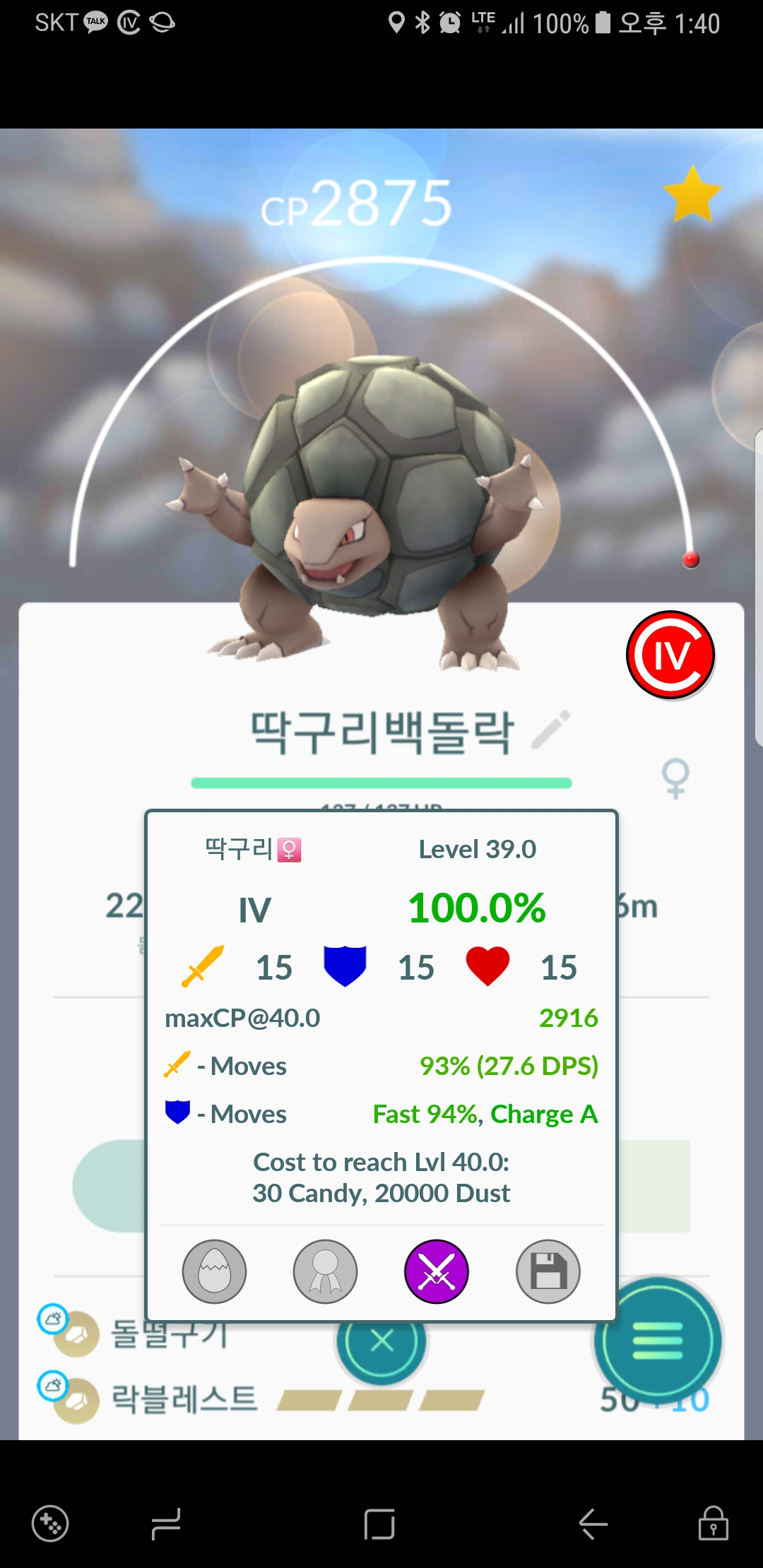 딱구리 100퍼 풀강?
