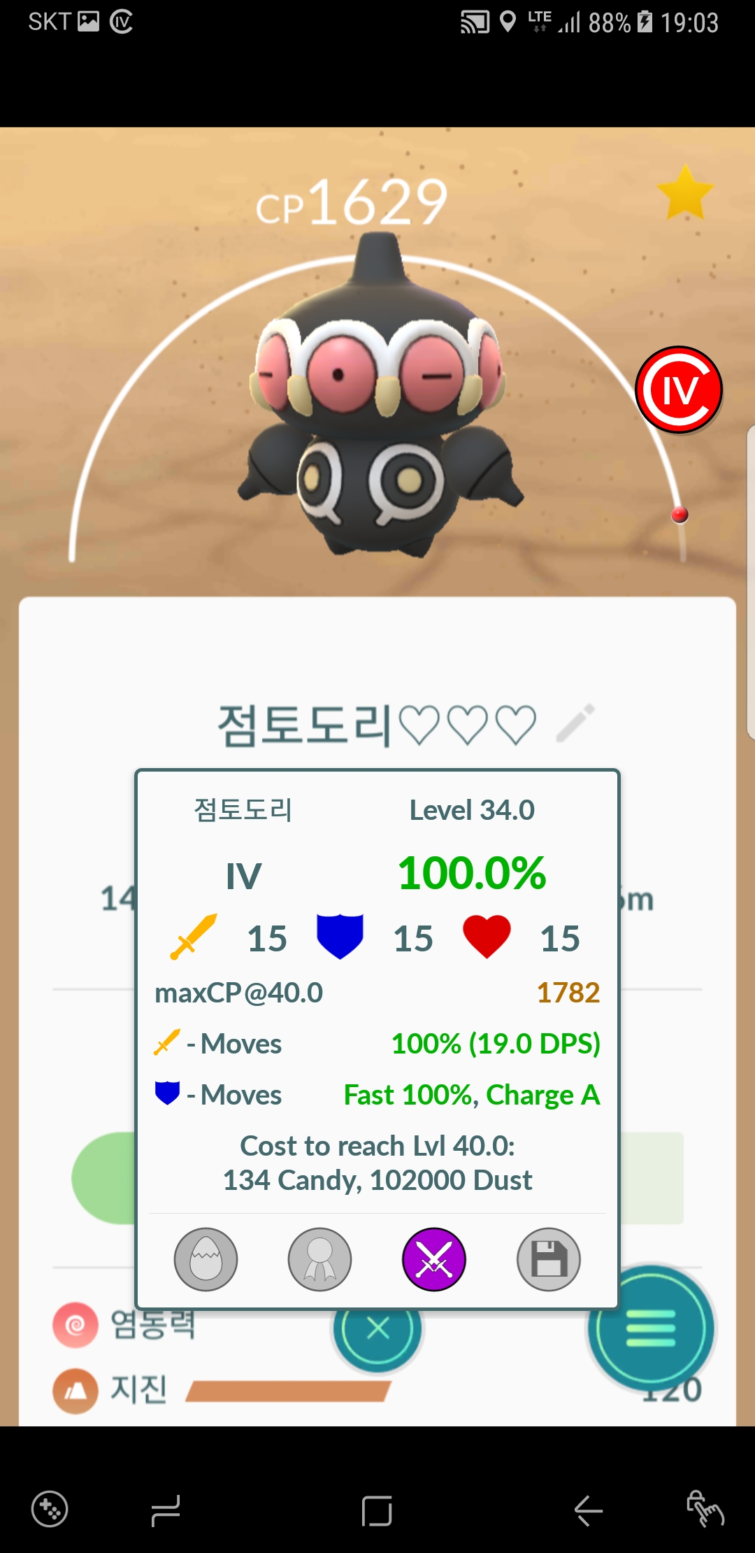 점토도리