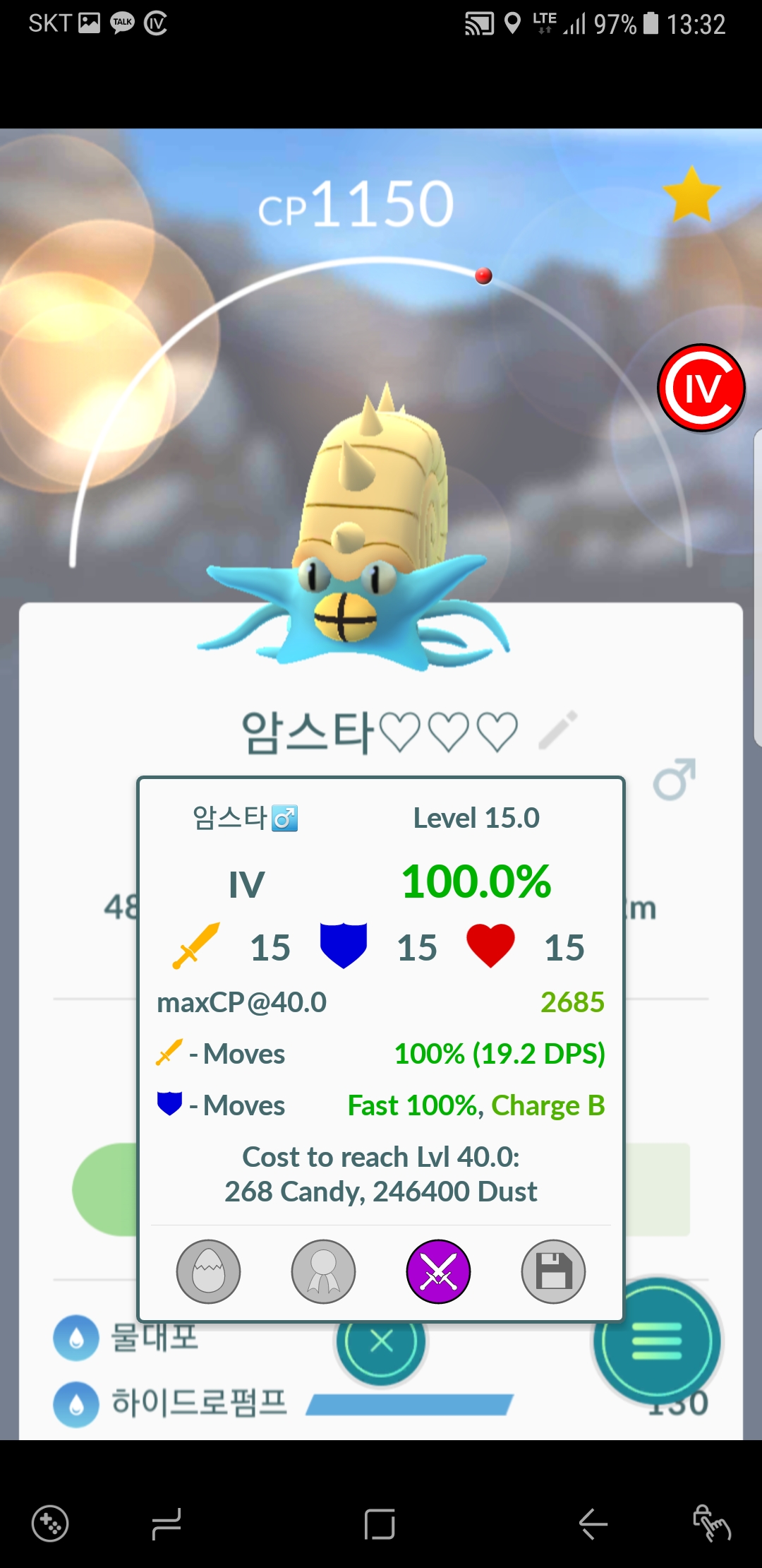암스타