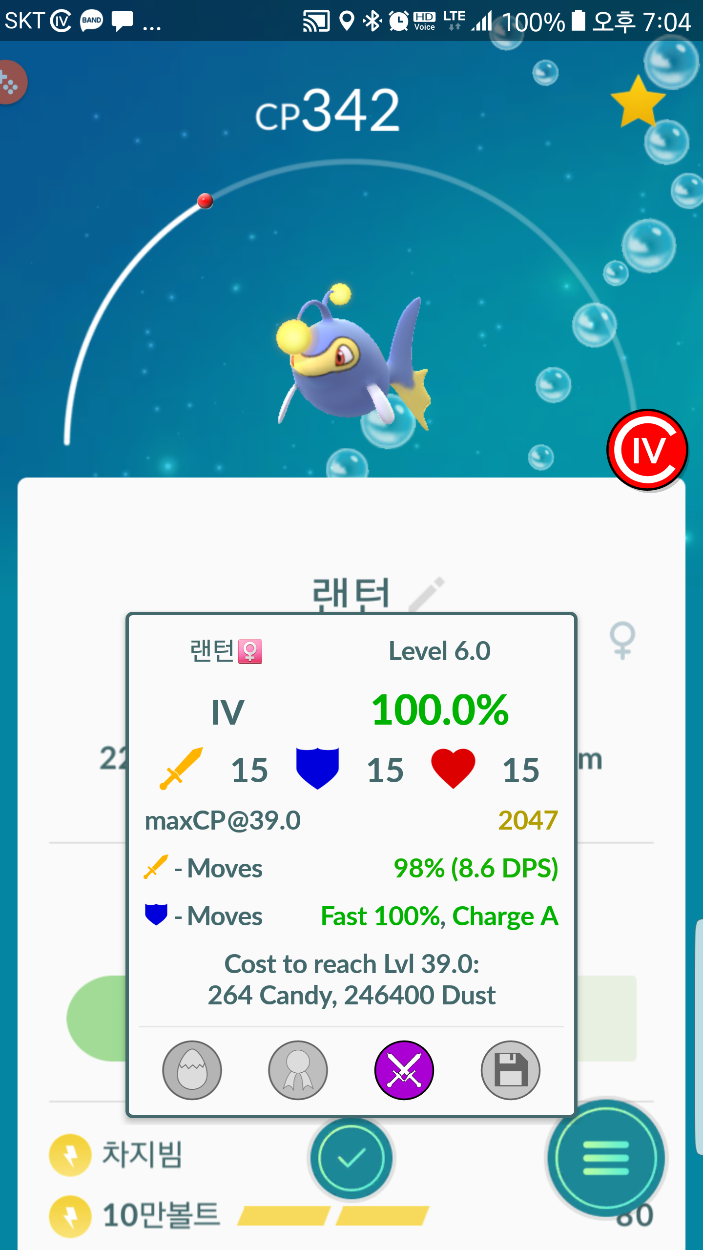 백 랜턴